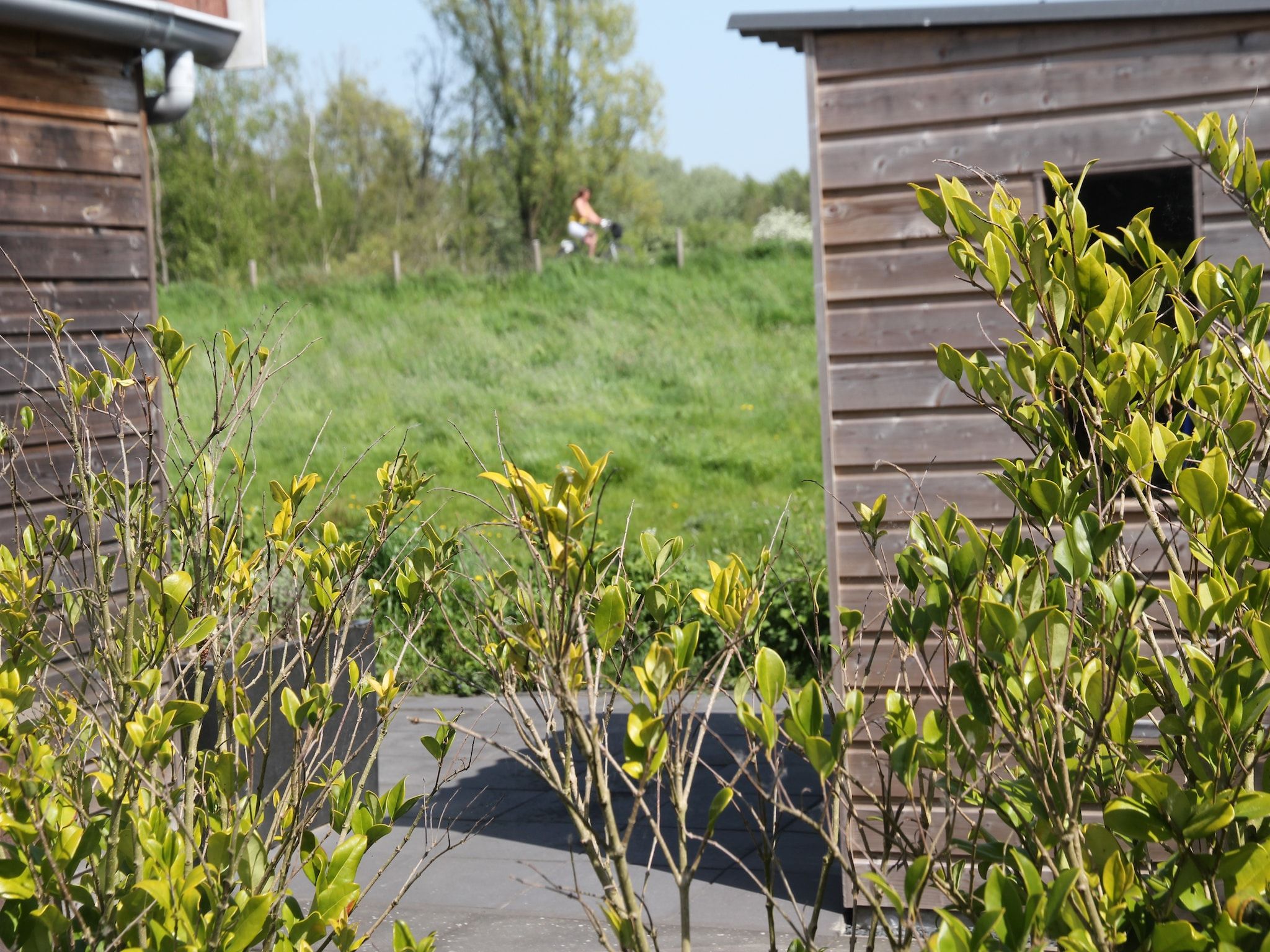 Het uitzicht vanaf Landelijk bij Zee in Warmenhuizen