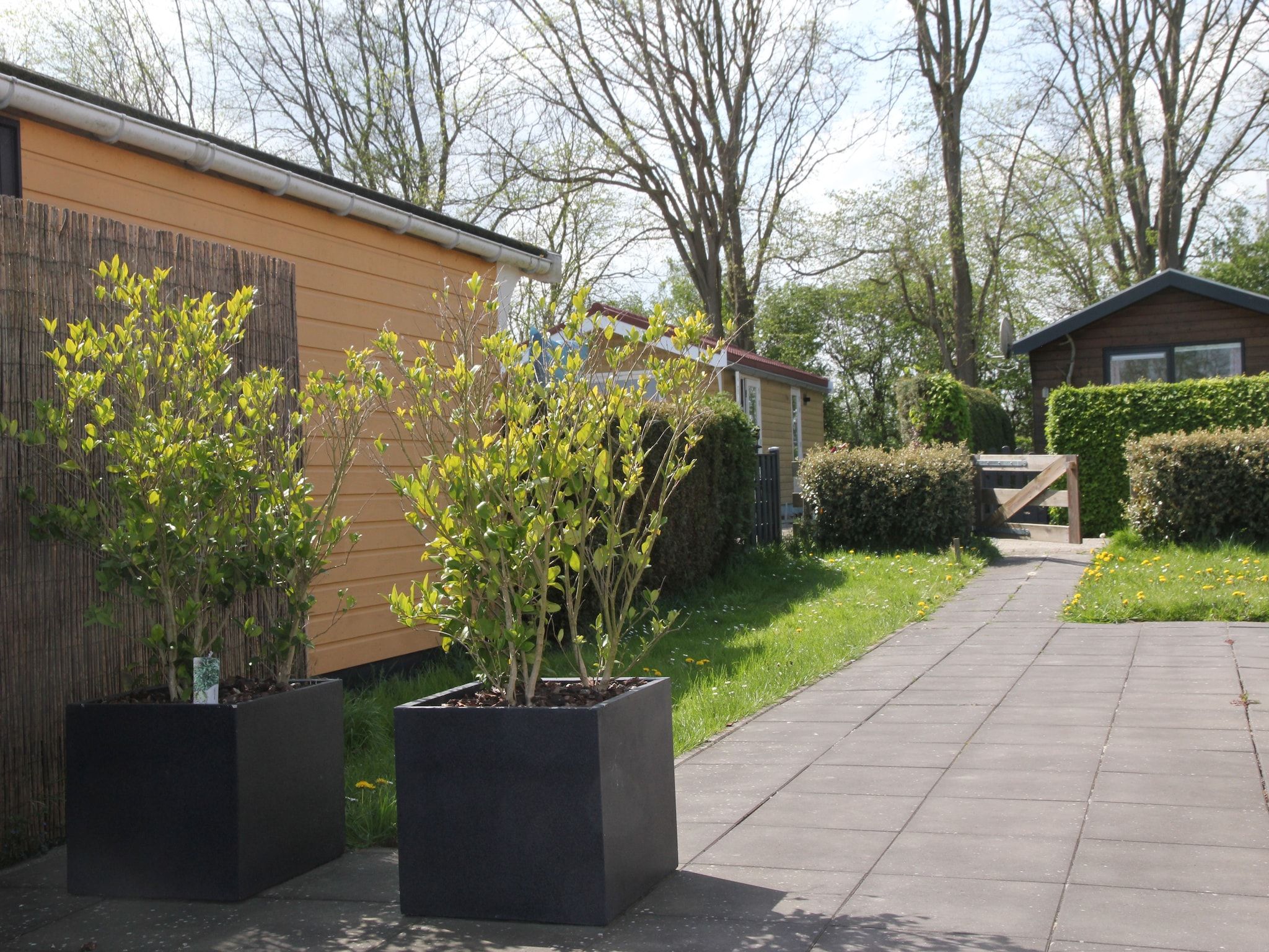 De tuin van Landelijk bij Zee in Warmenhuizen