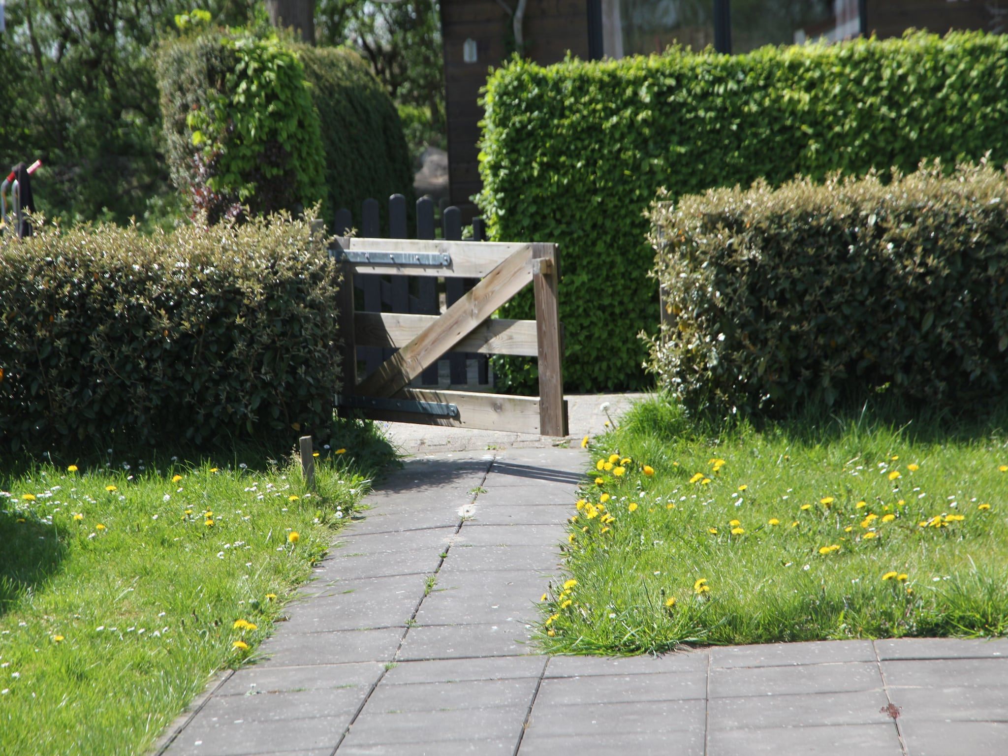 De tuin van Landelijk bij Zee in Warmenhuizen