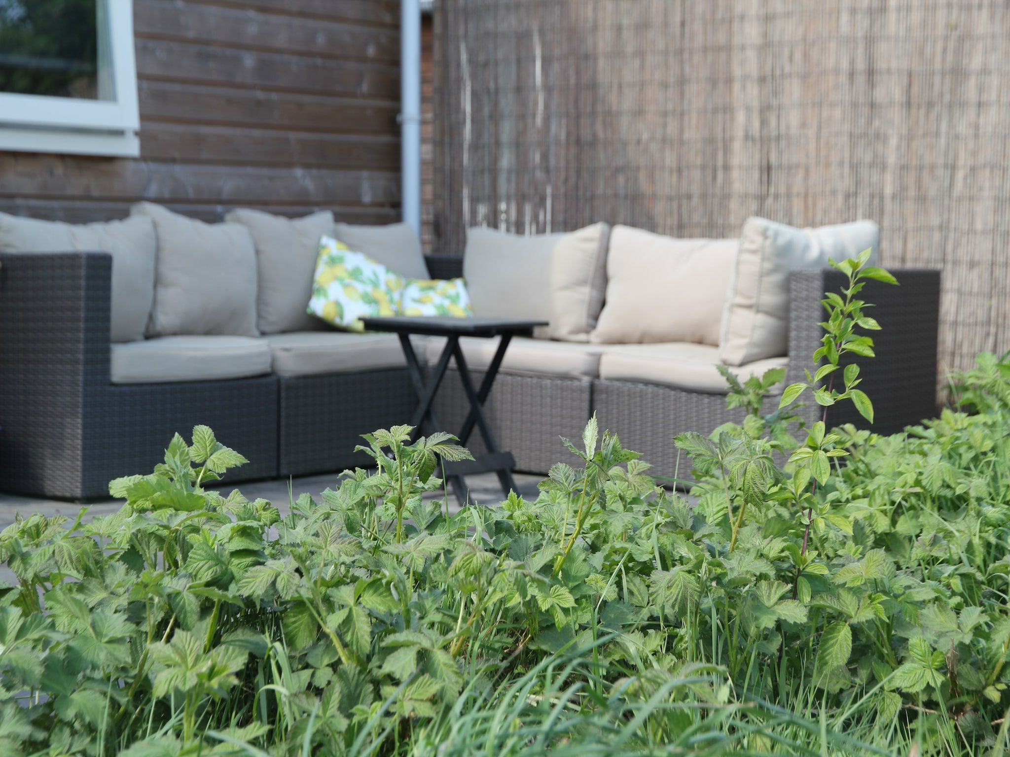 Het terras van Landelijk bij Zee in Warmenhuizen