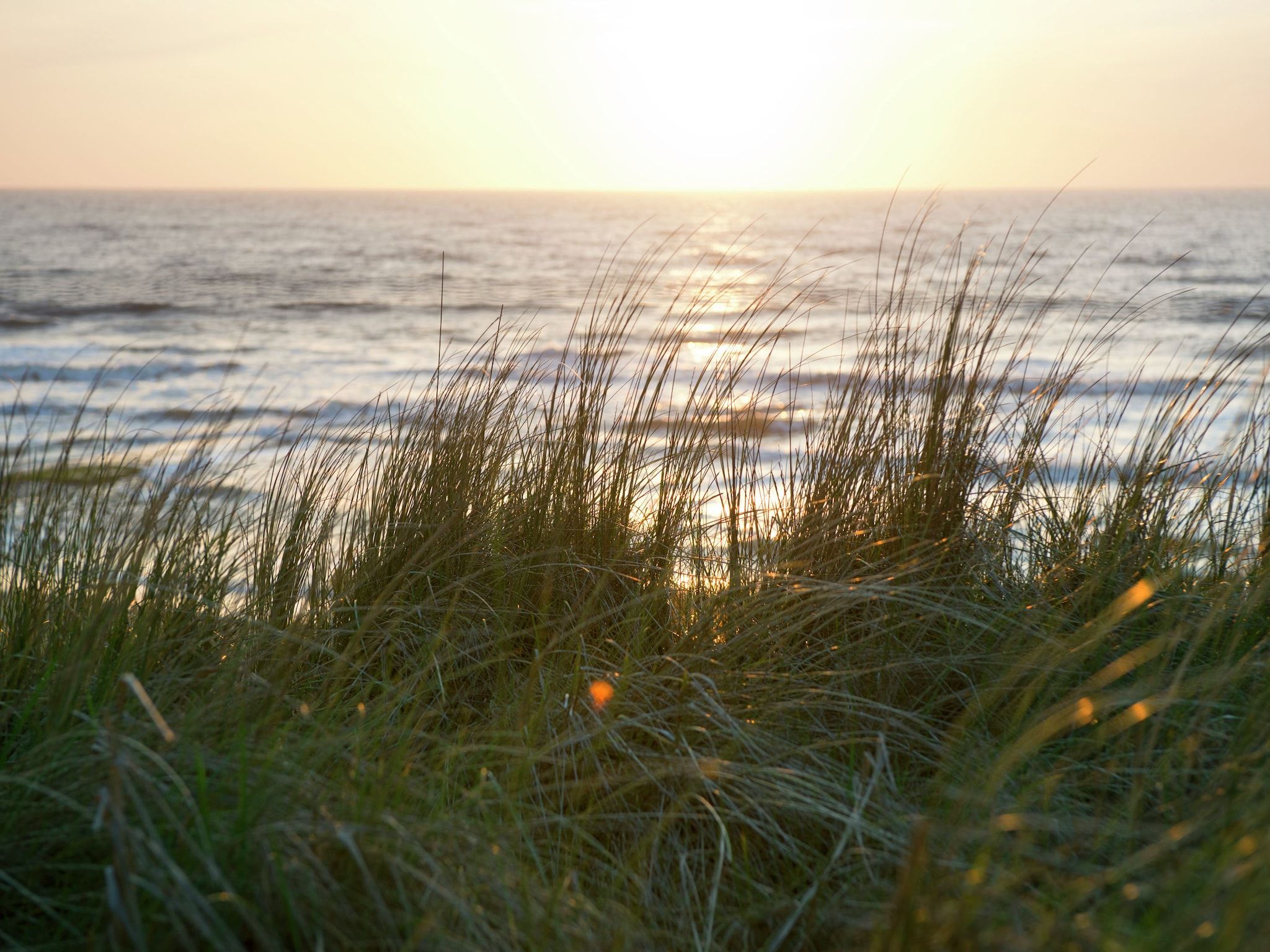 Landelijk bij Zee in Warmenhuizen - Foto 36 van 40