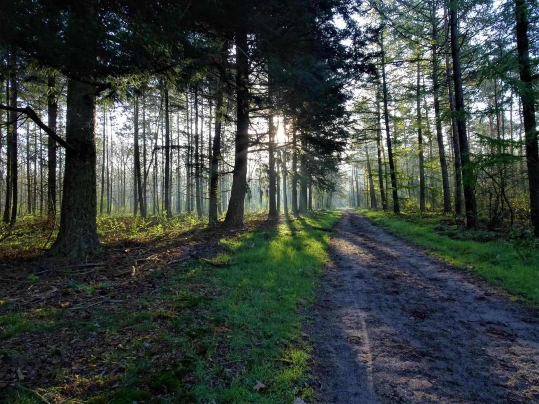 Reewold in Putten - Foto 35 van 40