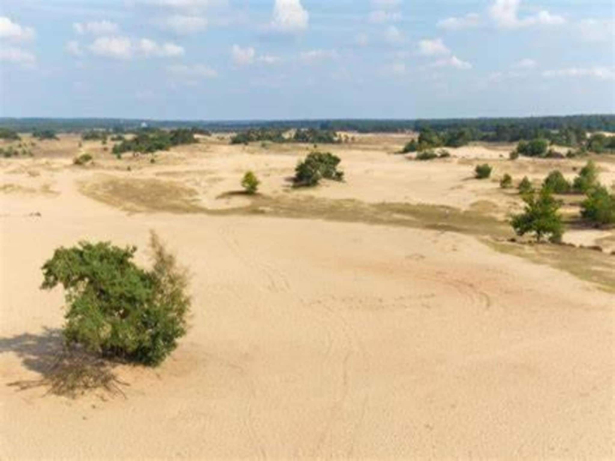 Reewold in Putten - Foto 36 van 40