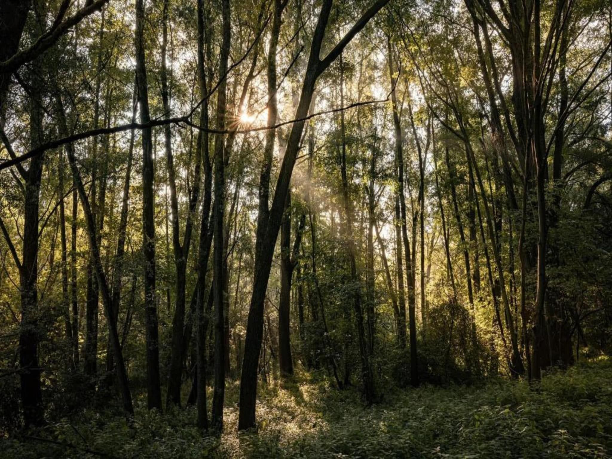 Reewold in Putten - Foto 34 van 40