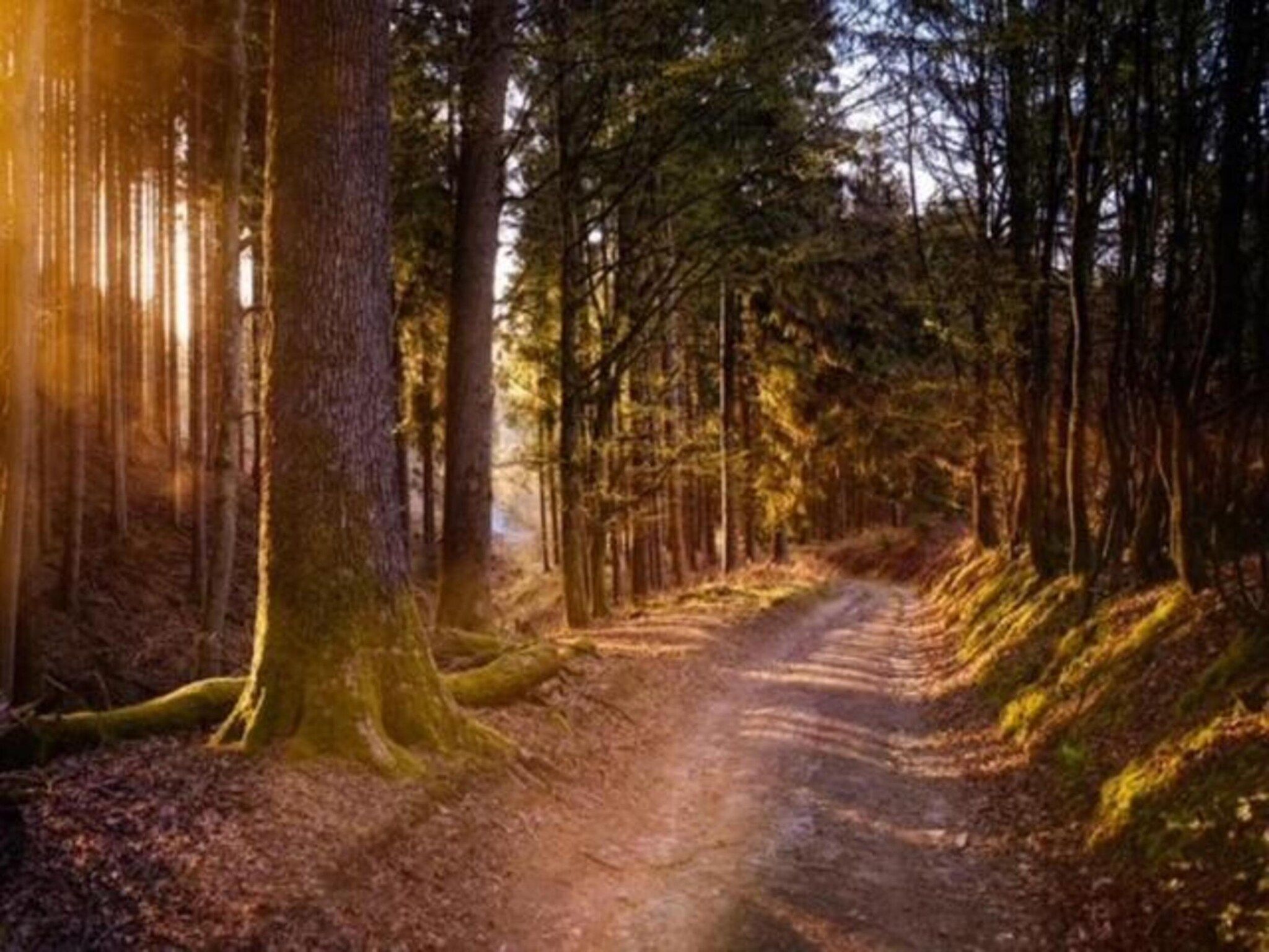 Reewold in Putten - Foto 38 van 40