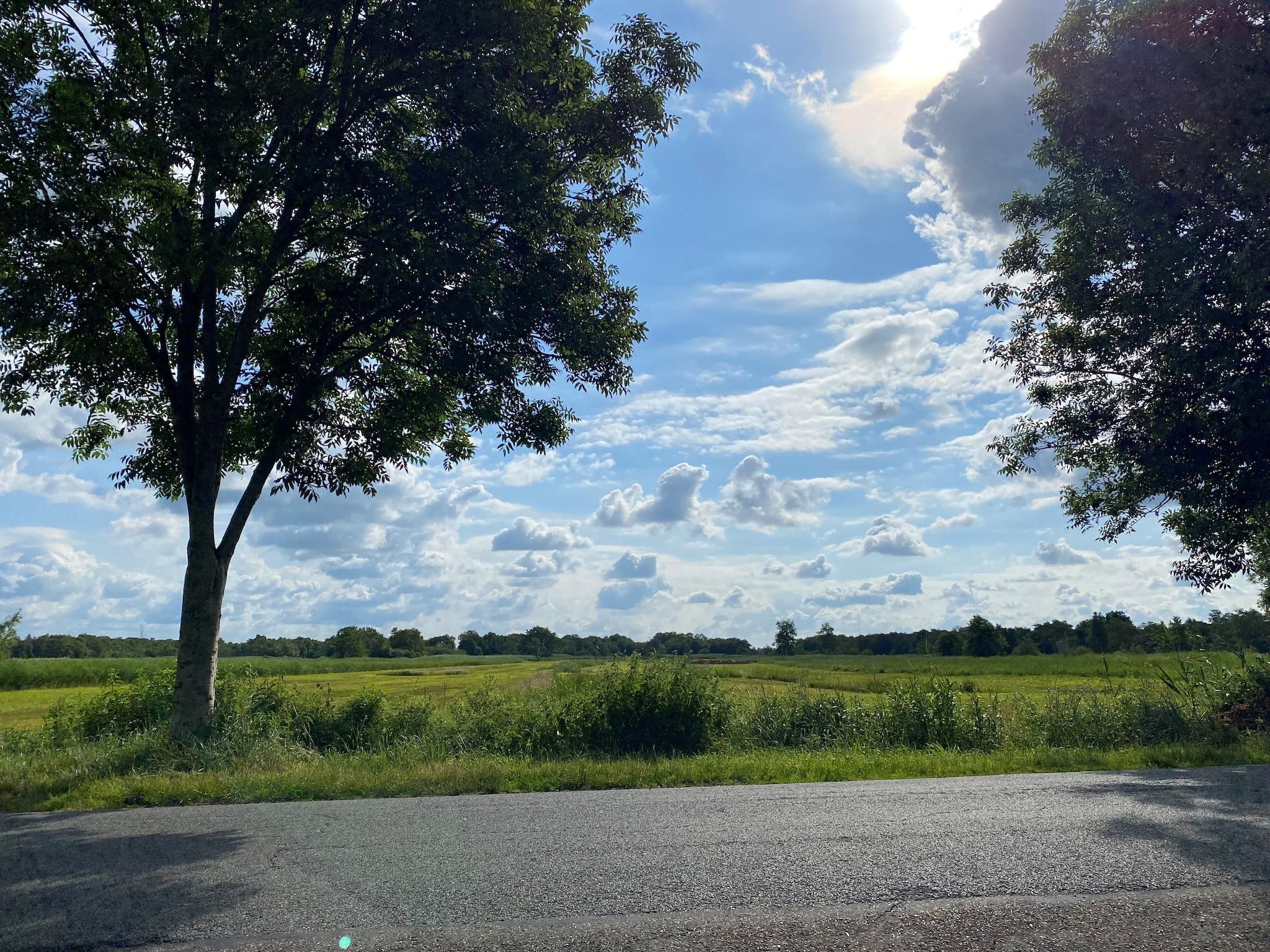 Het uitzicht vanaf Aan de dwarsgracht in Giethoorn