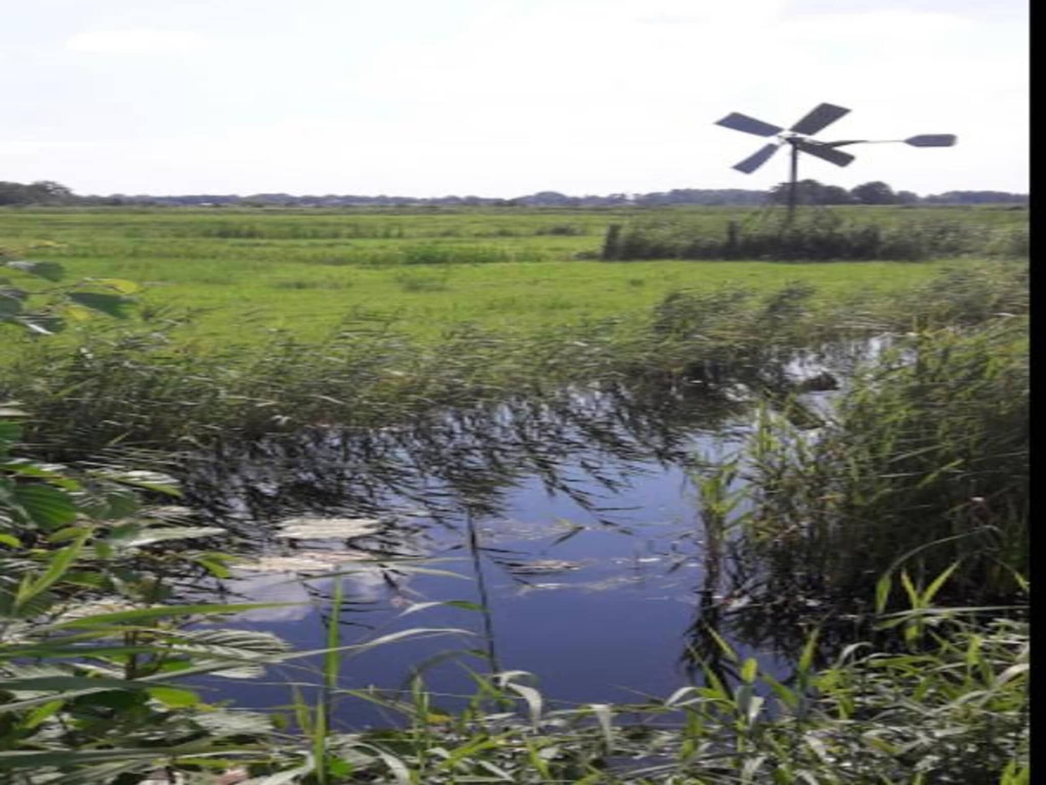 Aan de dwarsgracht in Giethoorn - Foto 35 van 40