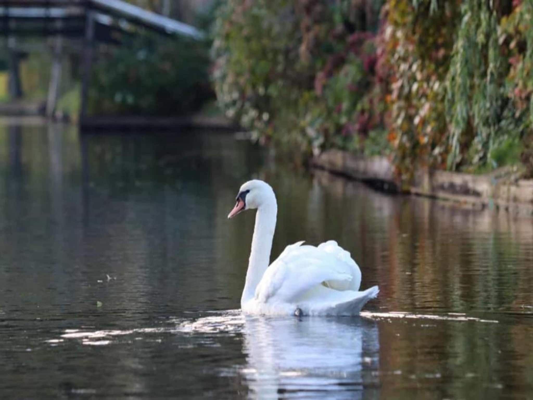 Aan de dwarsgracht in Giethoorn - Foto 38 van 40