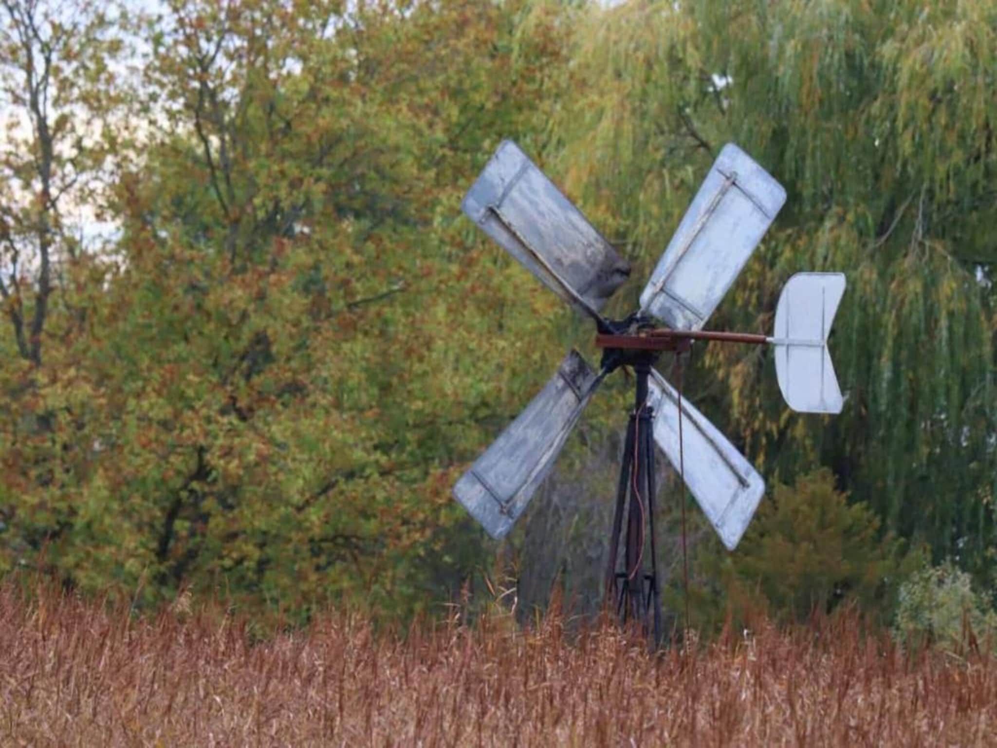 Aan de dwarsgracht in Giethoorn - Foto 32 van 40