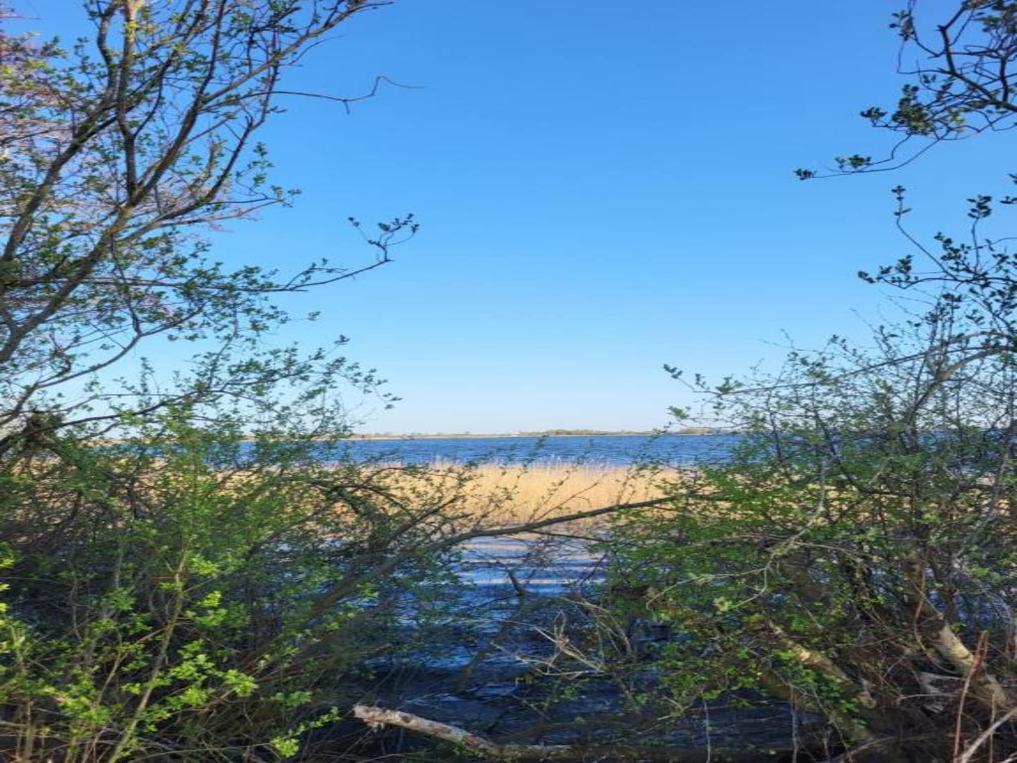 Aan de dwarsgracht in Giethoorn - Foto 31 van 40