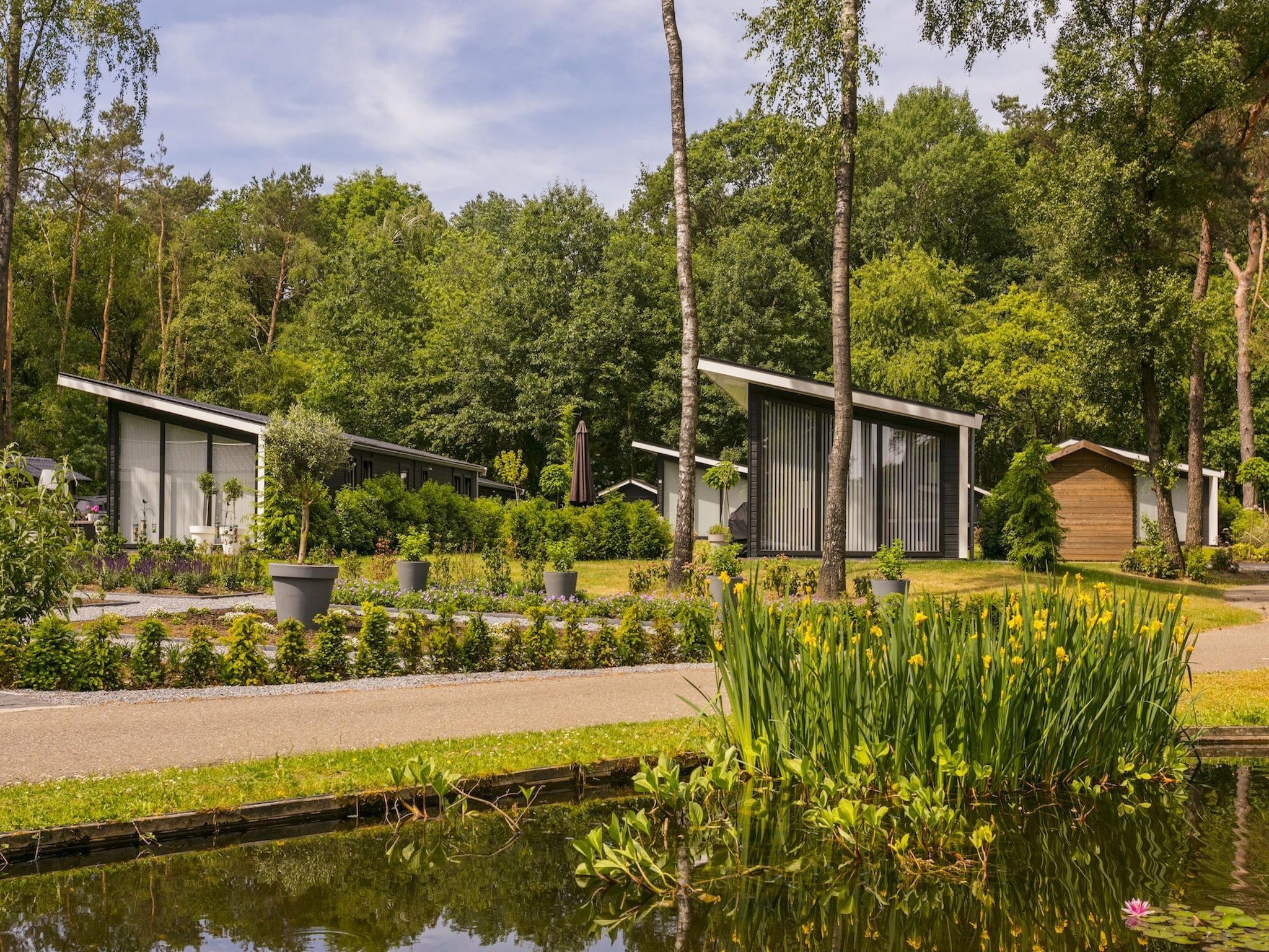 Bospark Markelo 3 in Markelo - Foto 16 van 40