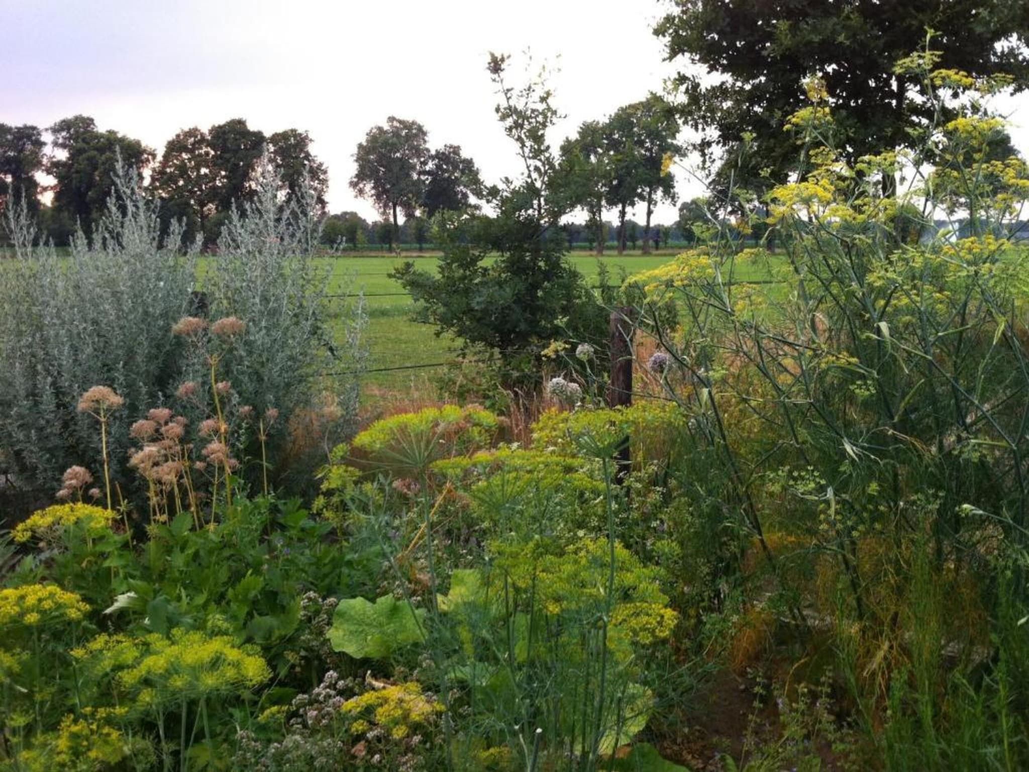 Bospark Markelo 3 in Markelo - Foto 18 van 40