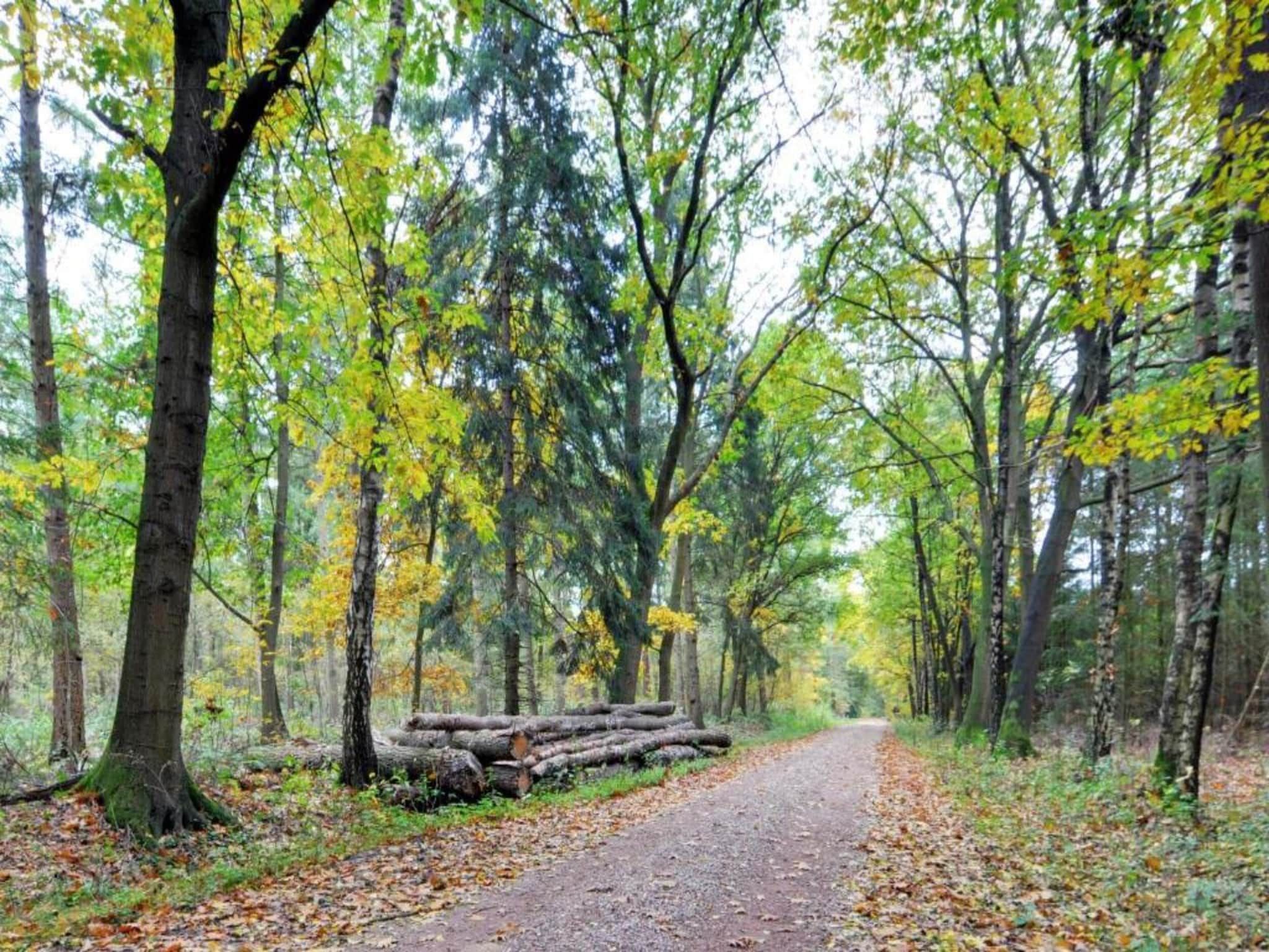 Bospark Markelo 3 in Markelo - Foto 19 van 40