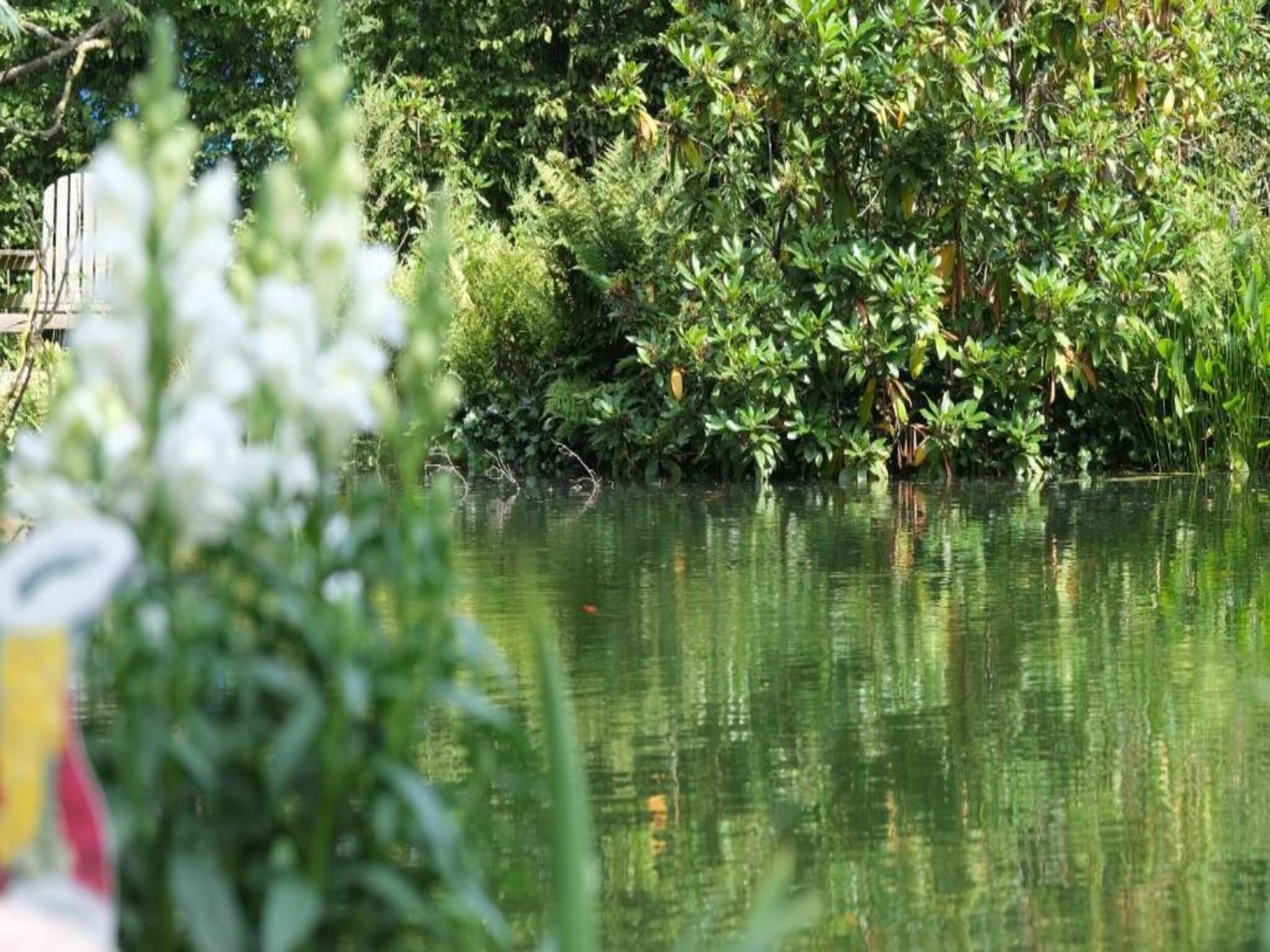 Bospark Markelo 3 in Markelo - Foto 23 van 40