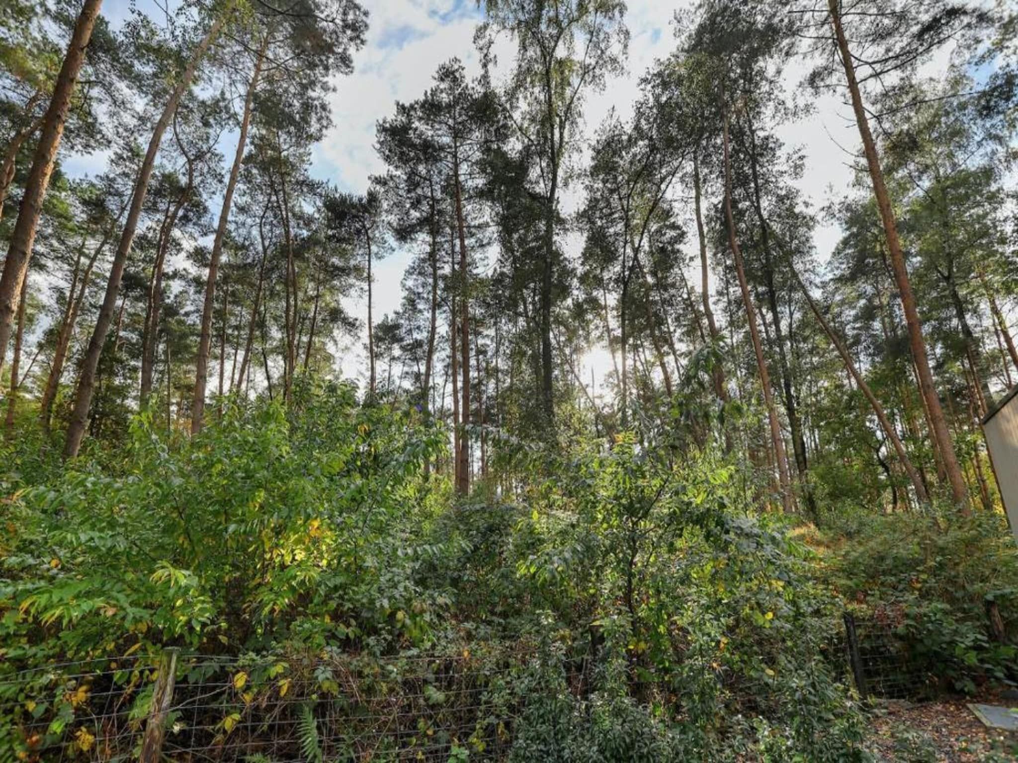 Bospark Markelo 3 in Markelo - Foto 39 van 40