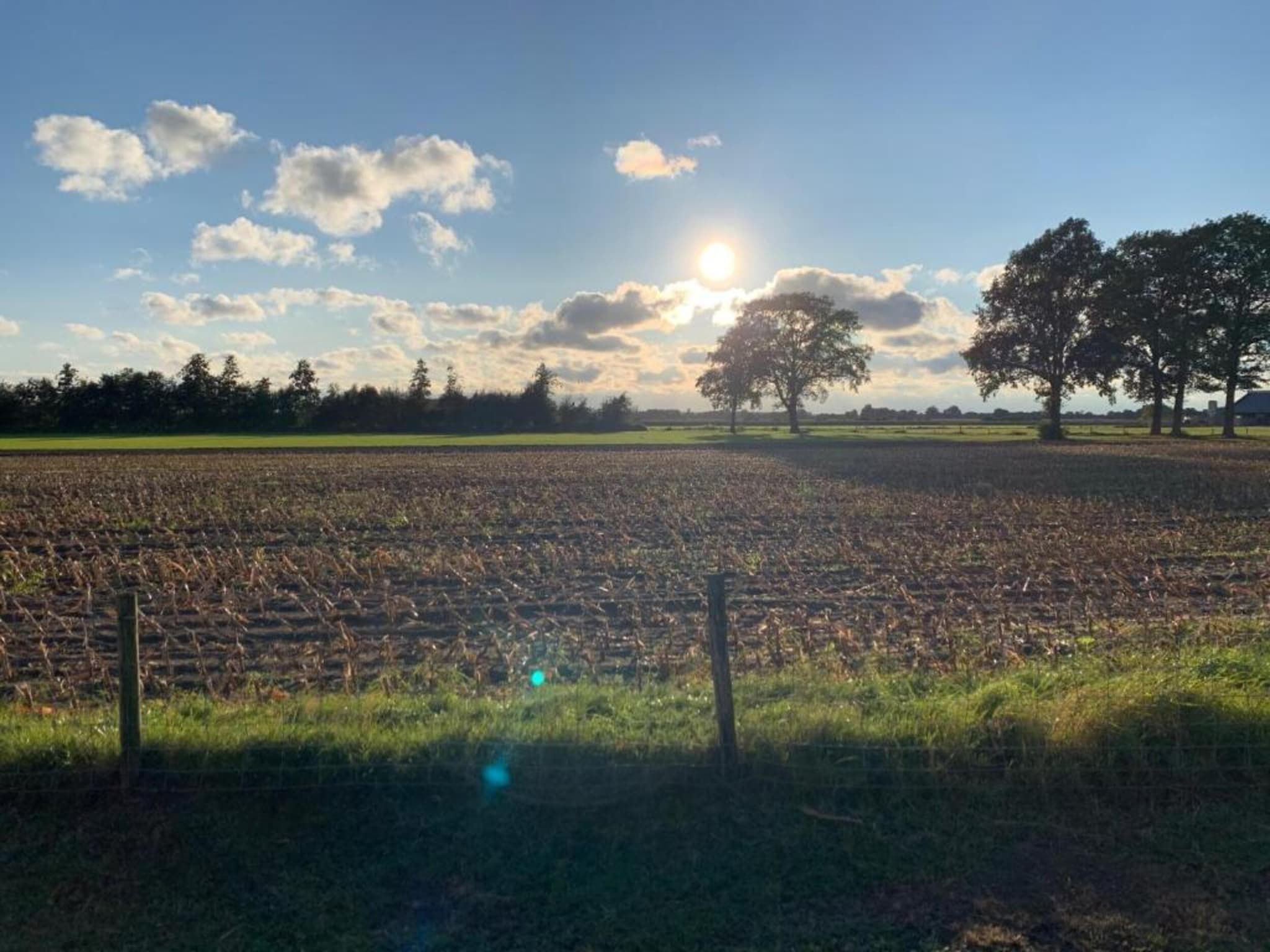 Bospark Markelo 3 in Markelo - Foto 27 van 40