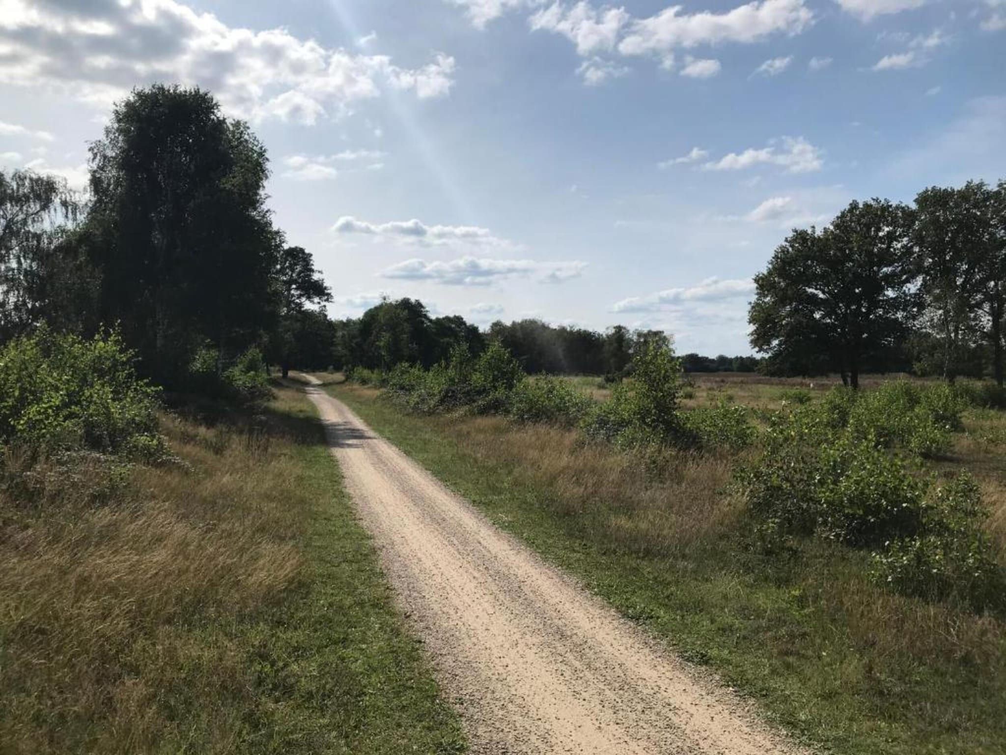 Bospark Markelo 3 in Markelo - Foto 31 van 40