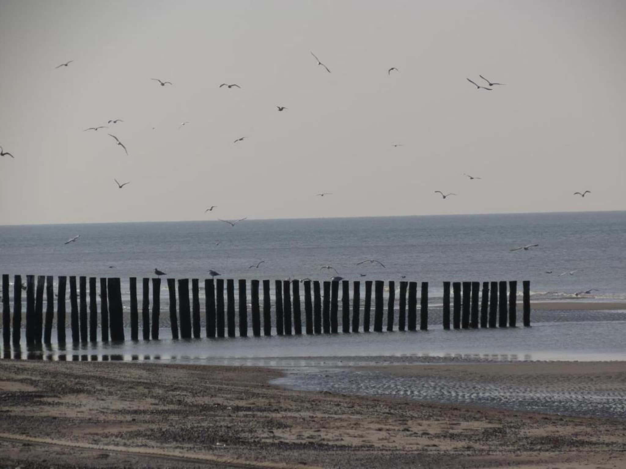 De omgeving van Noordzee Résidence Dishoek 12 in Koudekerke