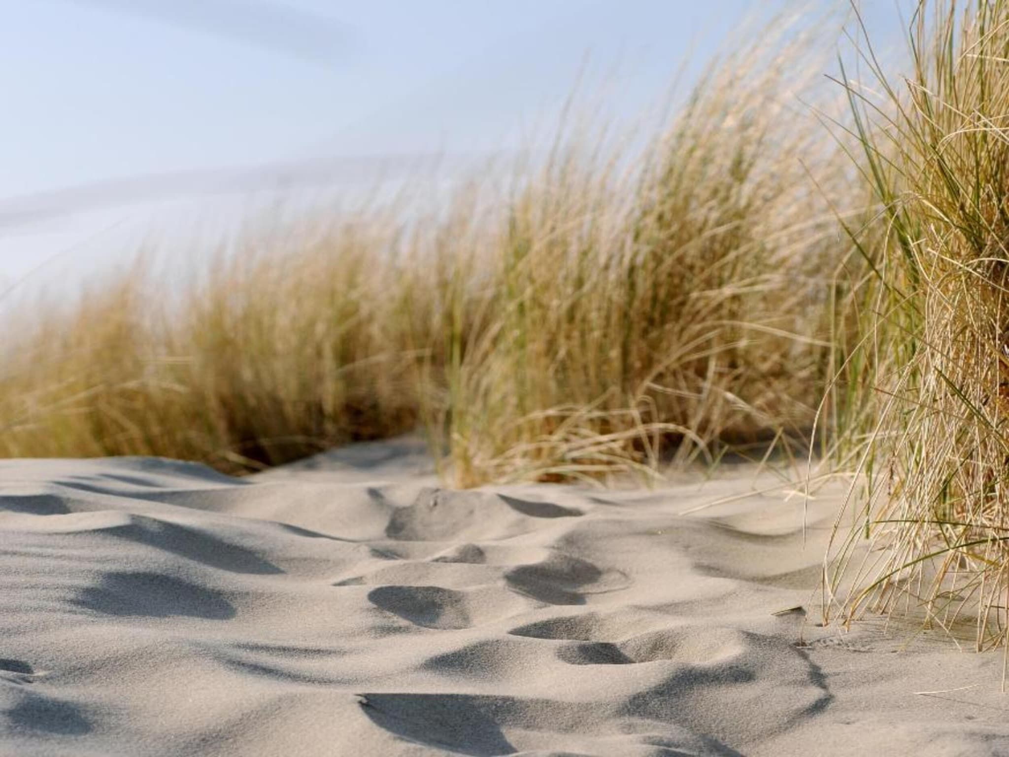 Sfeerbeeld van Noordzee Résidence Dishoek 12 in Koudekerke