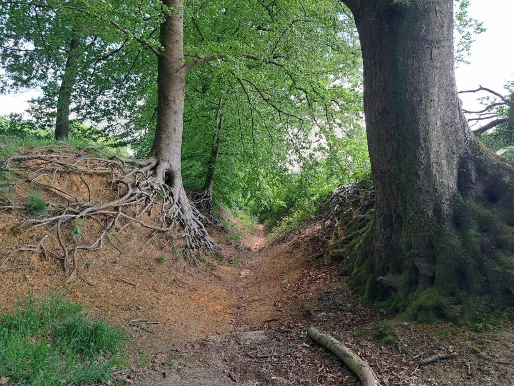 Villapark Ehzerburg 2 in Almen - Foto 24 van 27