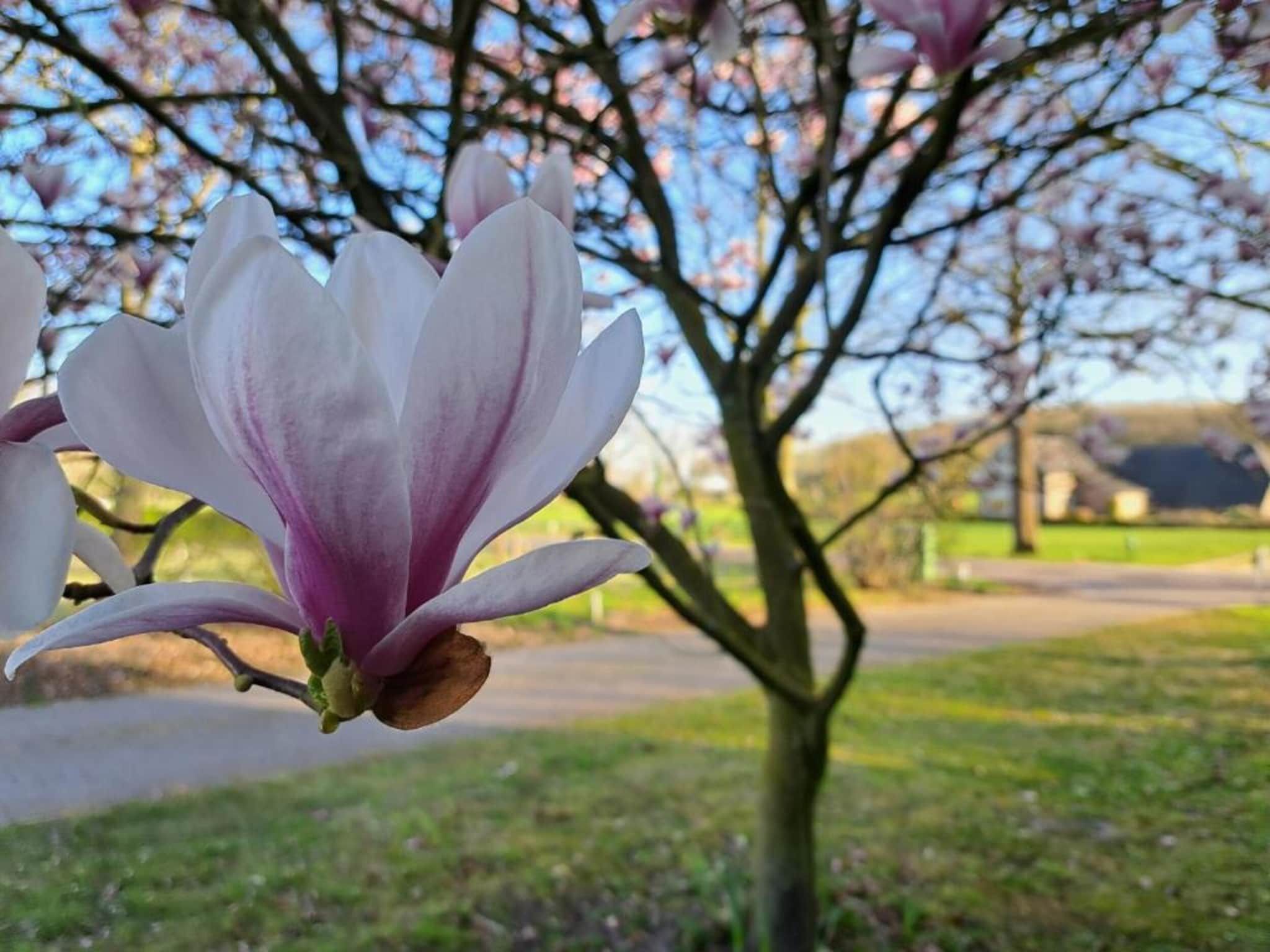 Villapark Ehzerburg 2 in Almen - Foto 16 van 27
