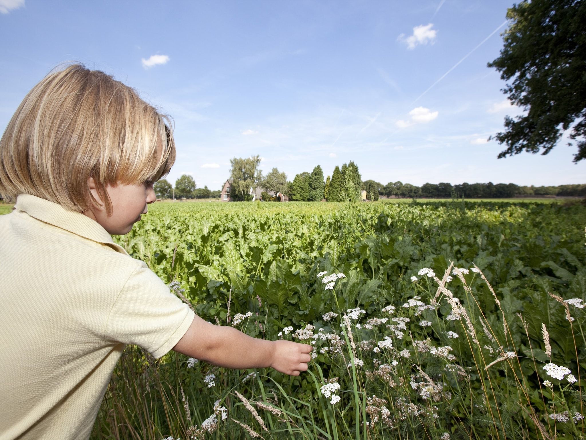De omgeving van Vakantiepark Hunzedal 10 in Borger
