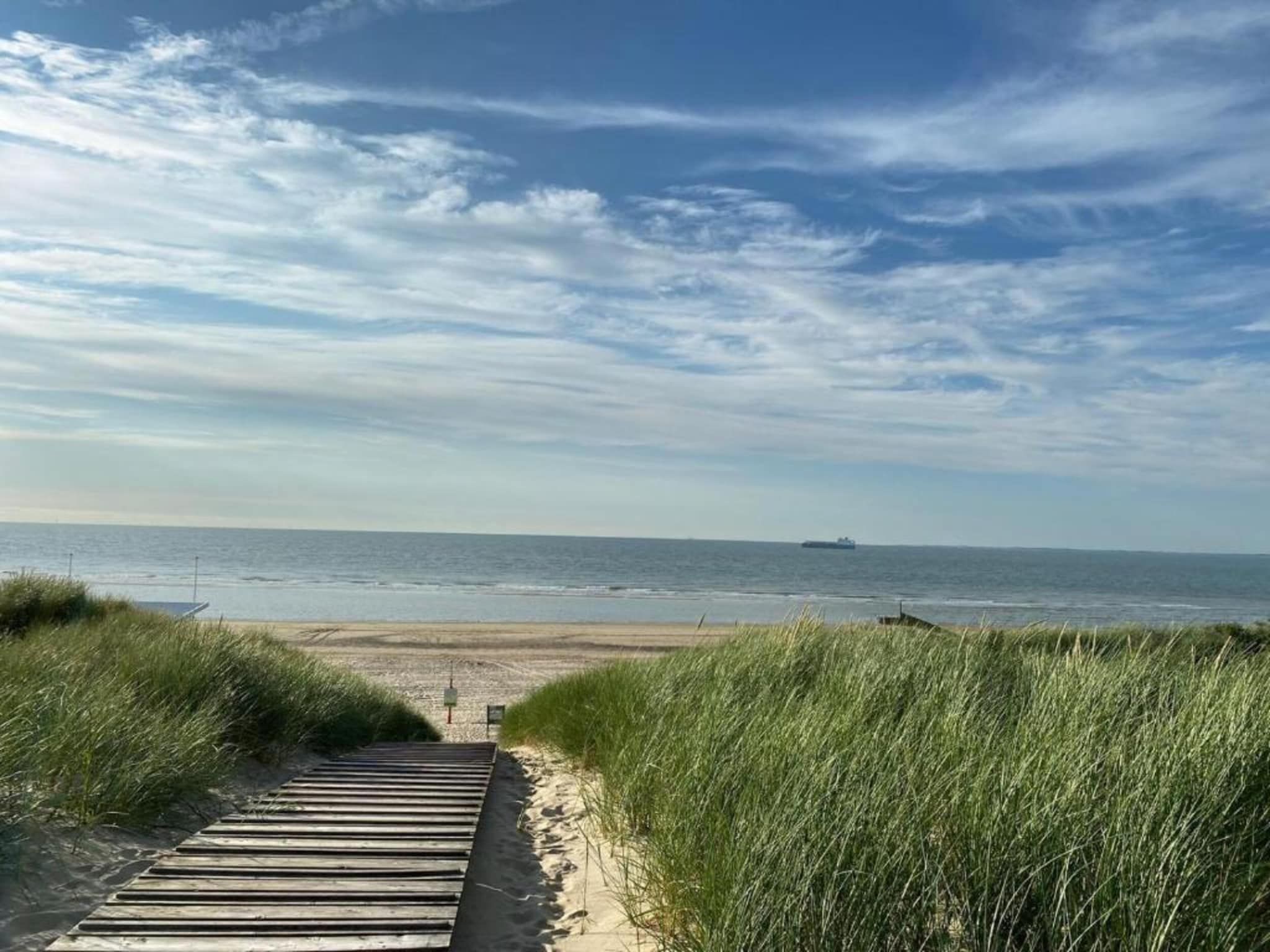 De omgeving van Beach Resort Nieuwvliet-Bad 5 in Nieuwvliet-Bad