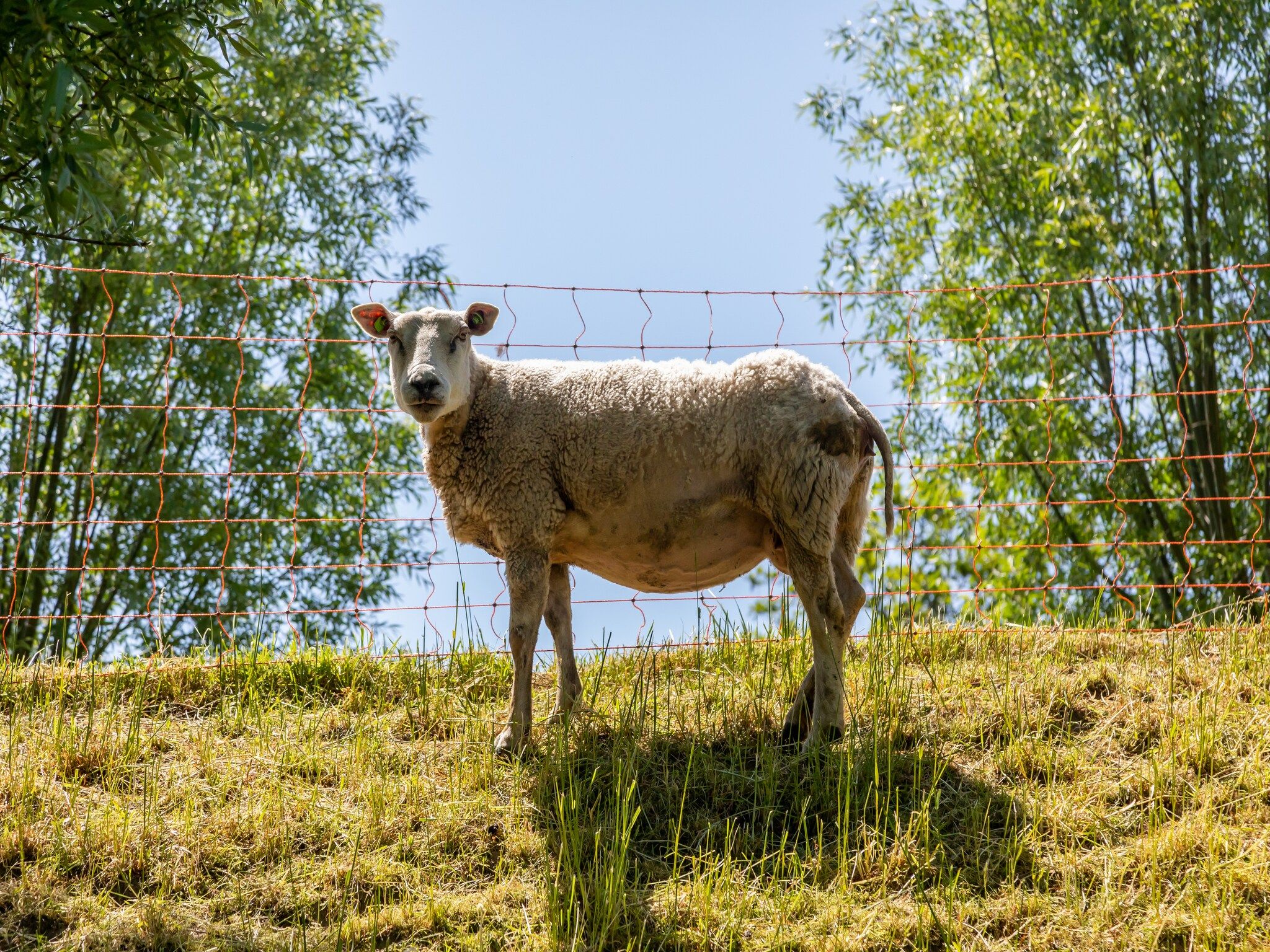 Sfeerbeeld van Inlaag 20 in Wolphaartsdijk