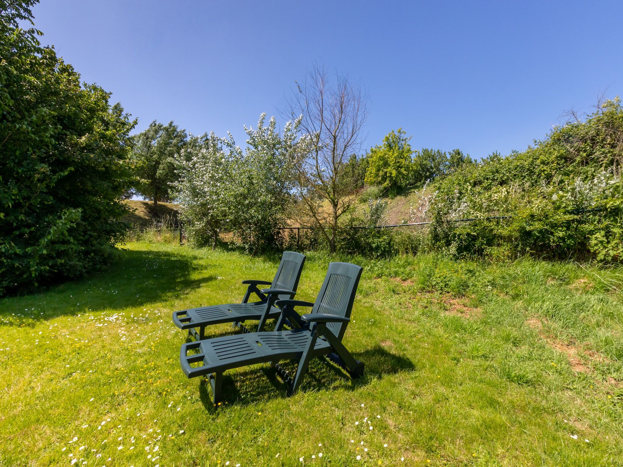 De tuin van Inlaag 20 in Wolphaartsdijk