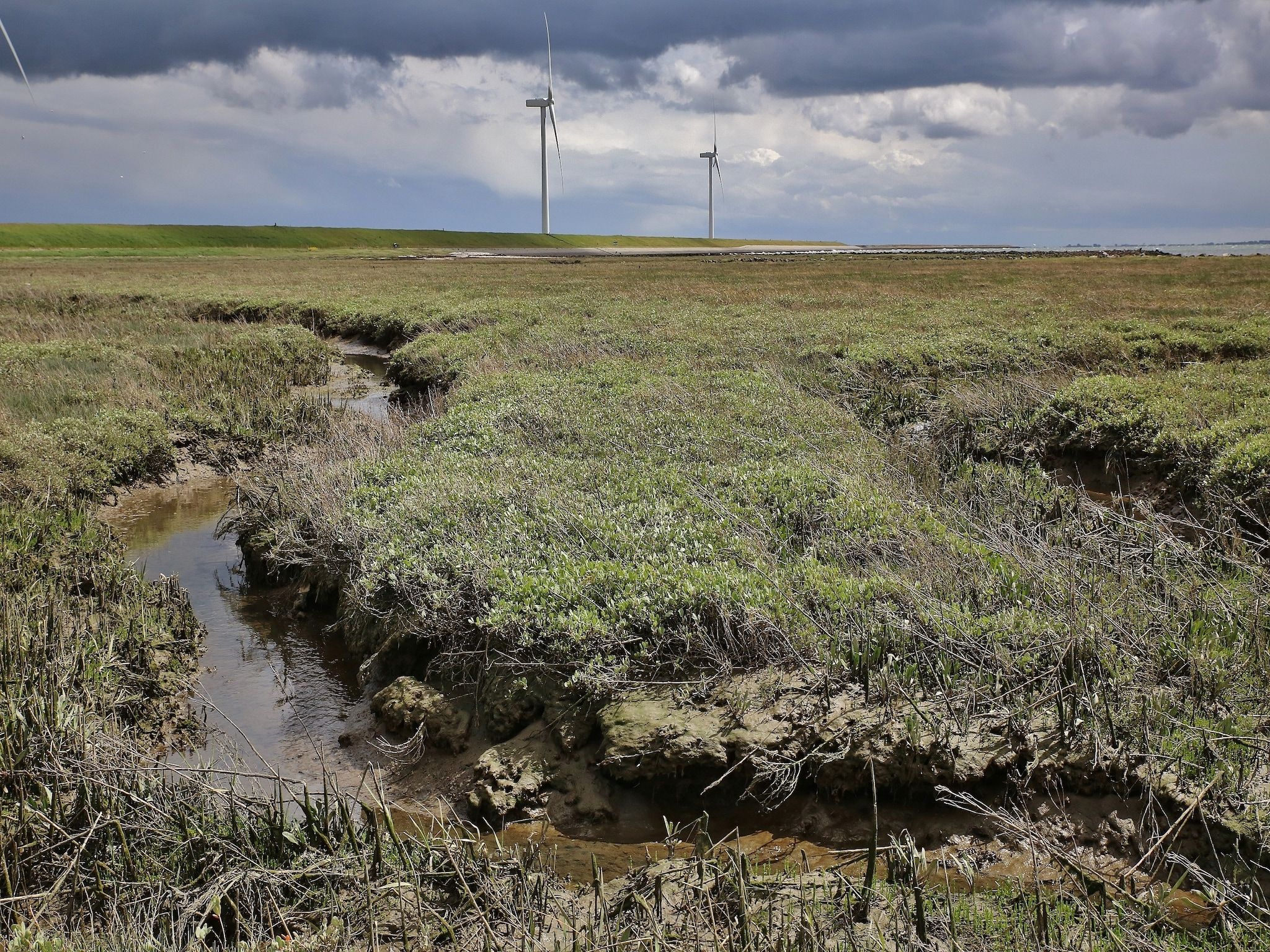 De omgeving van Water Resort Oosterschelde 46 in Wemeldinge