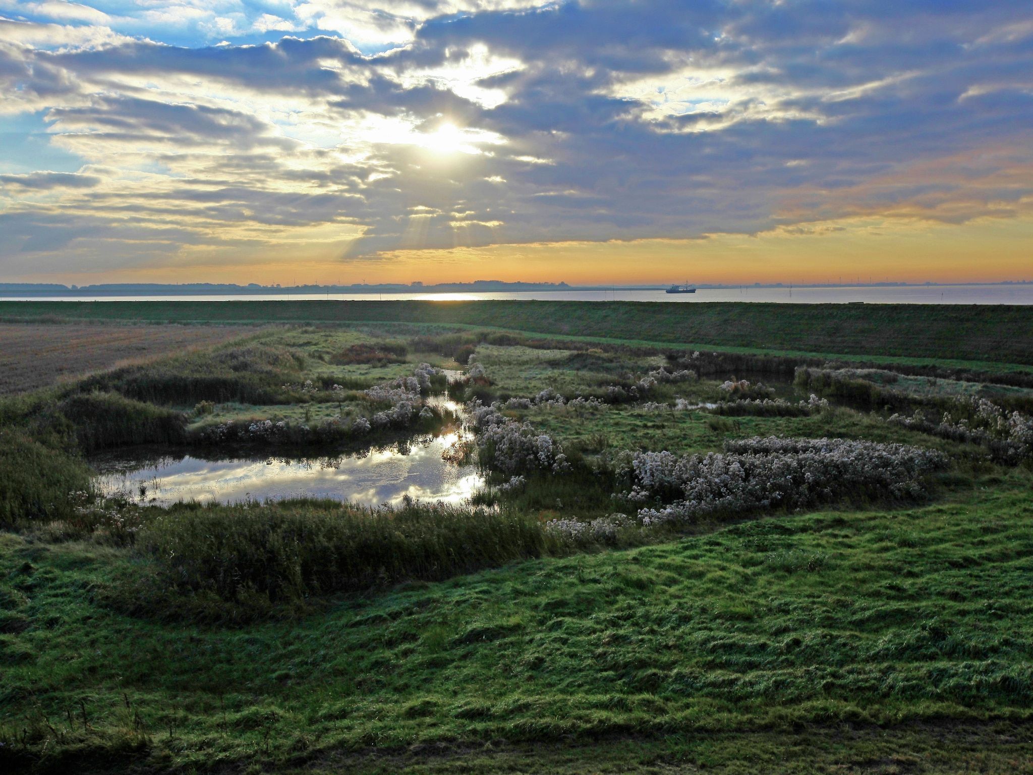 Water Resort Oosterschelde 46 in Wemeldinge - Foto 20 van 40