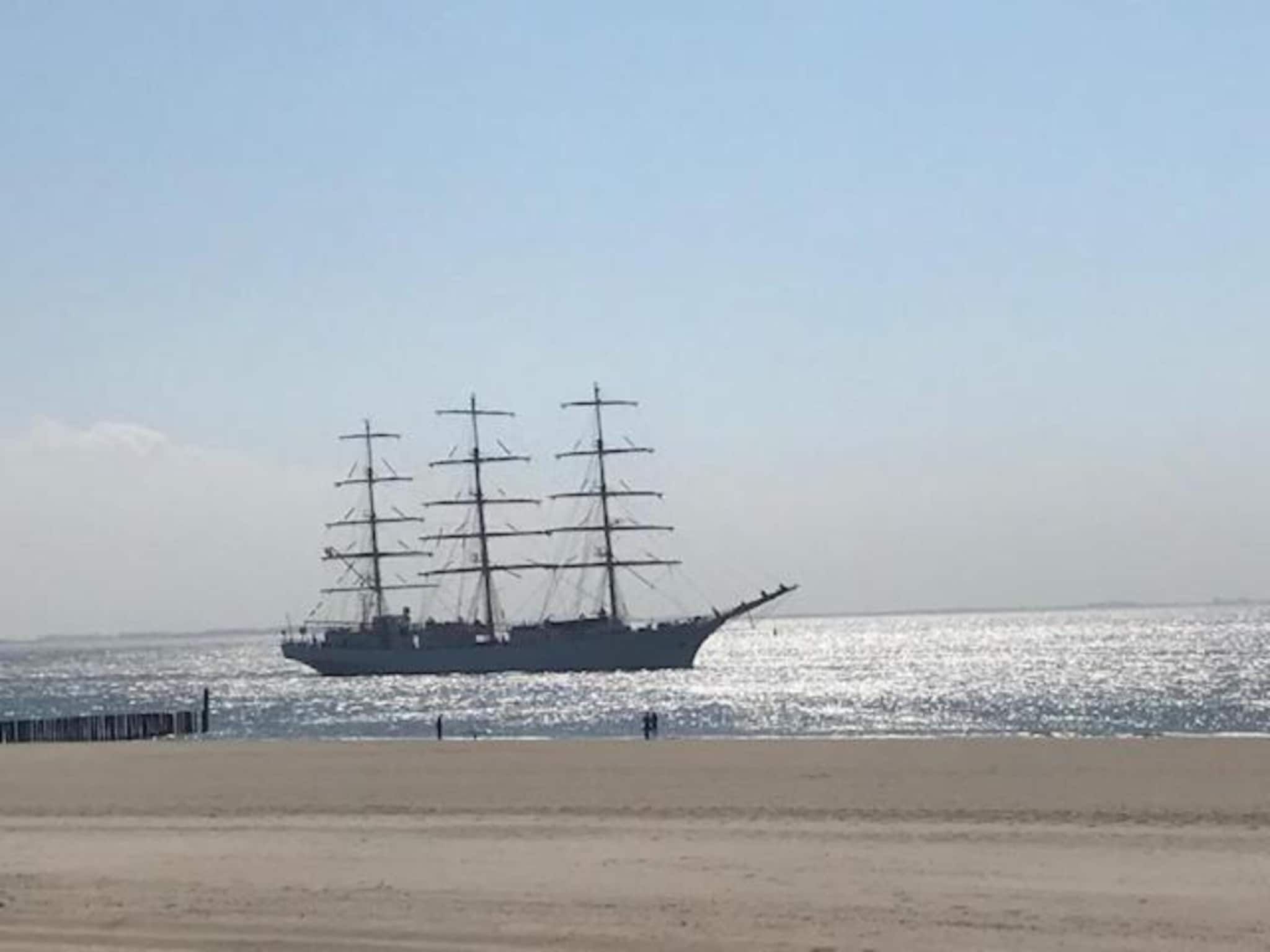 Vebenabos 14-Bos en Duin in Koudekerke-Dishoek - Foto 23 van 37