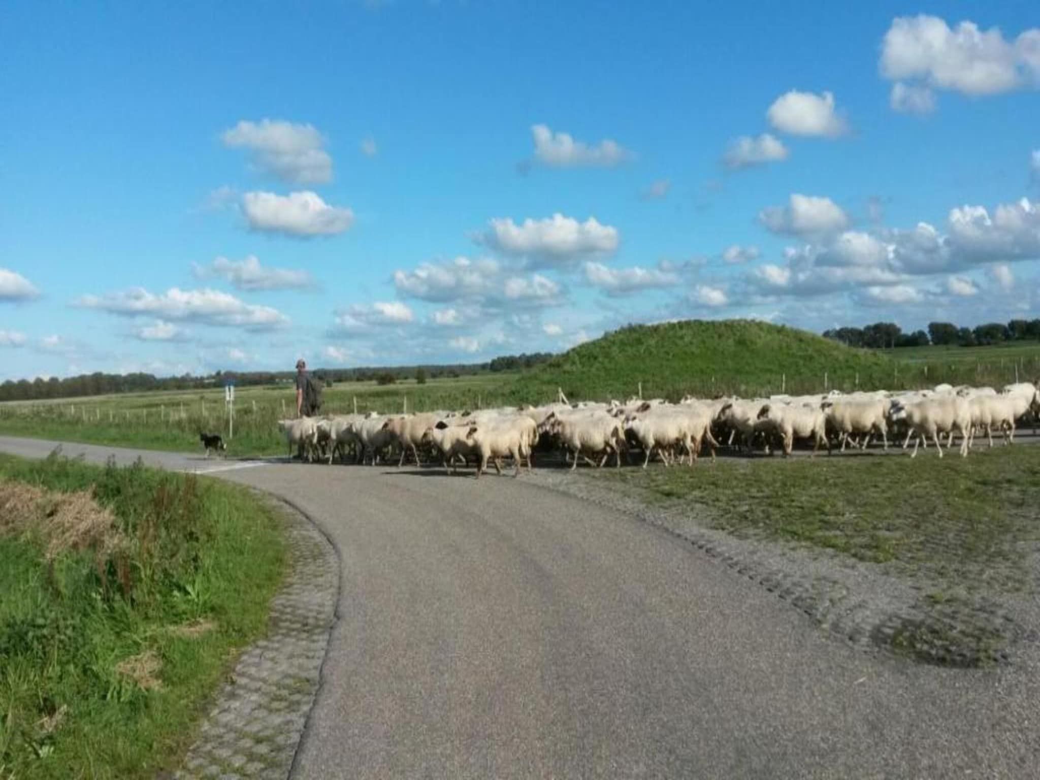 Harbour Village 2 in Arnemuiden - Foto 24 van 40