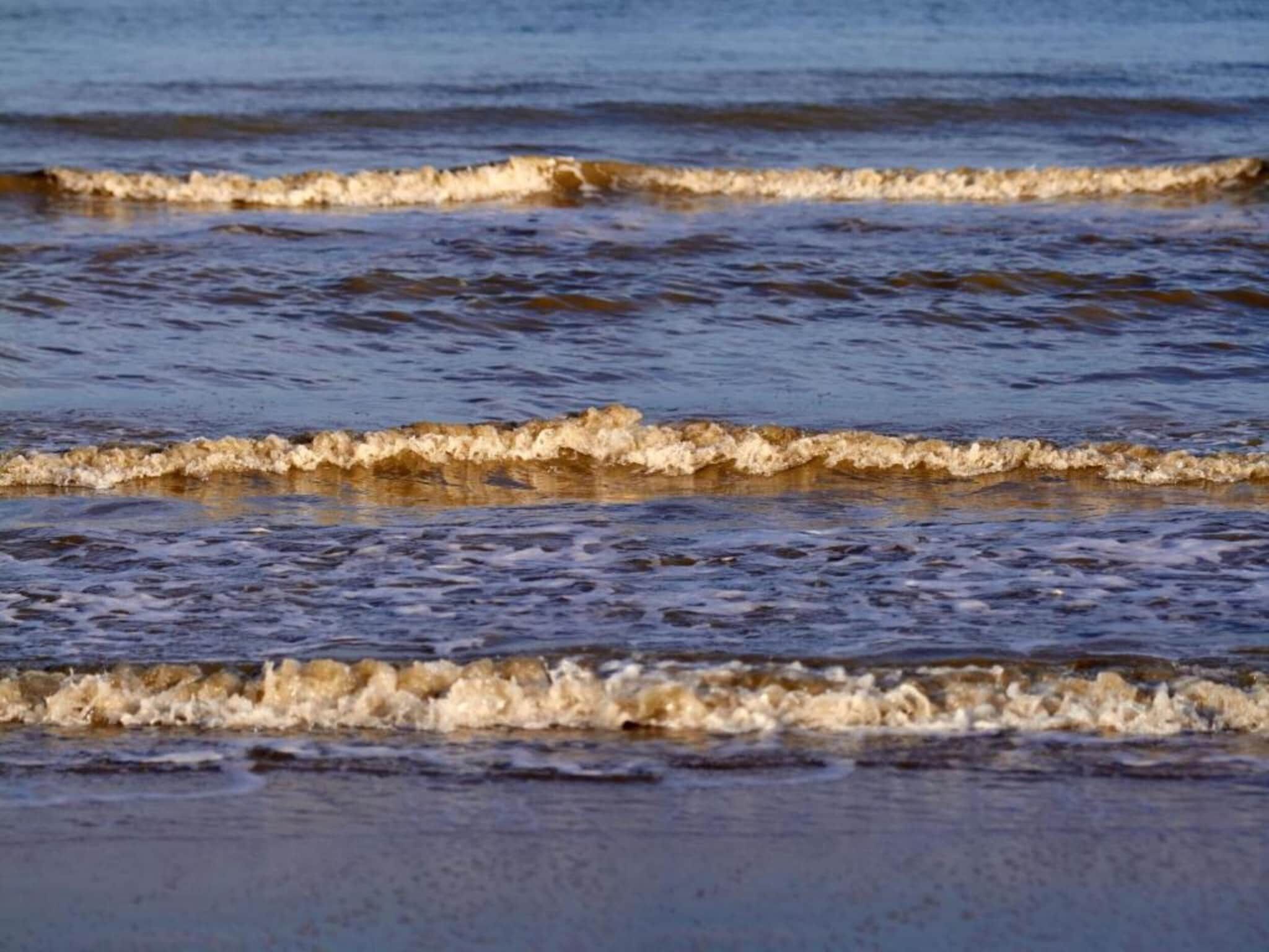 Beach Resort Nieuwvliet-Bad 7 in Nieuwvliet-Bad - Foto 34 van 40