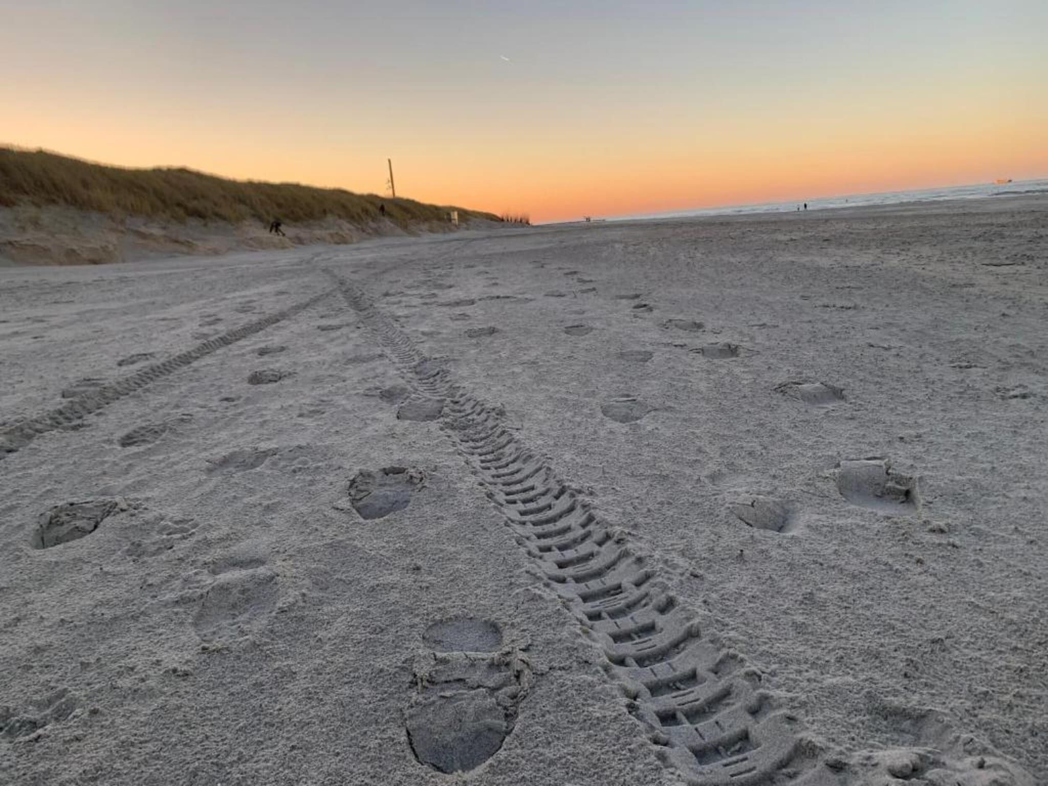 Beach Resort Nieuwvliet-Bad 7 in Nieuwvliet-Bad - Foto 24 van 40