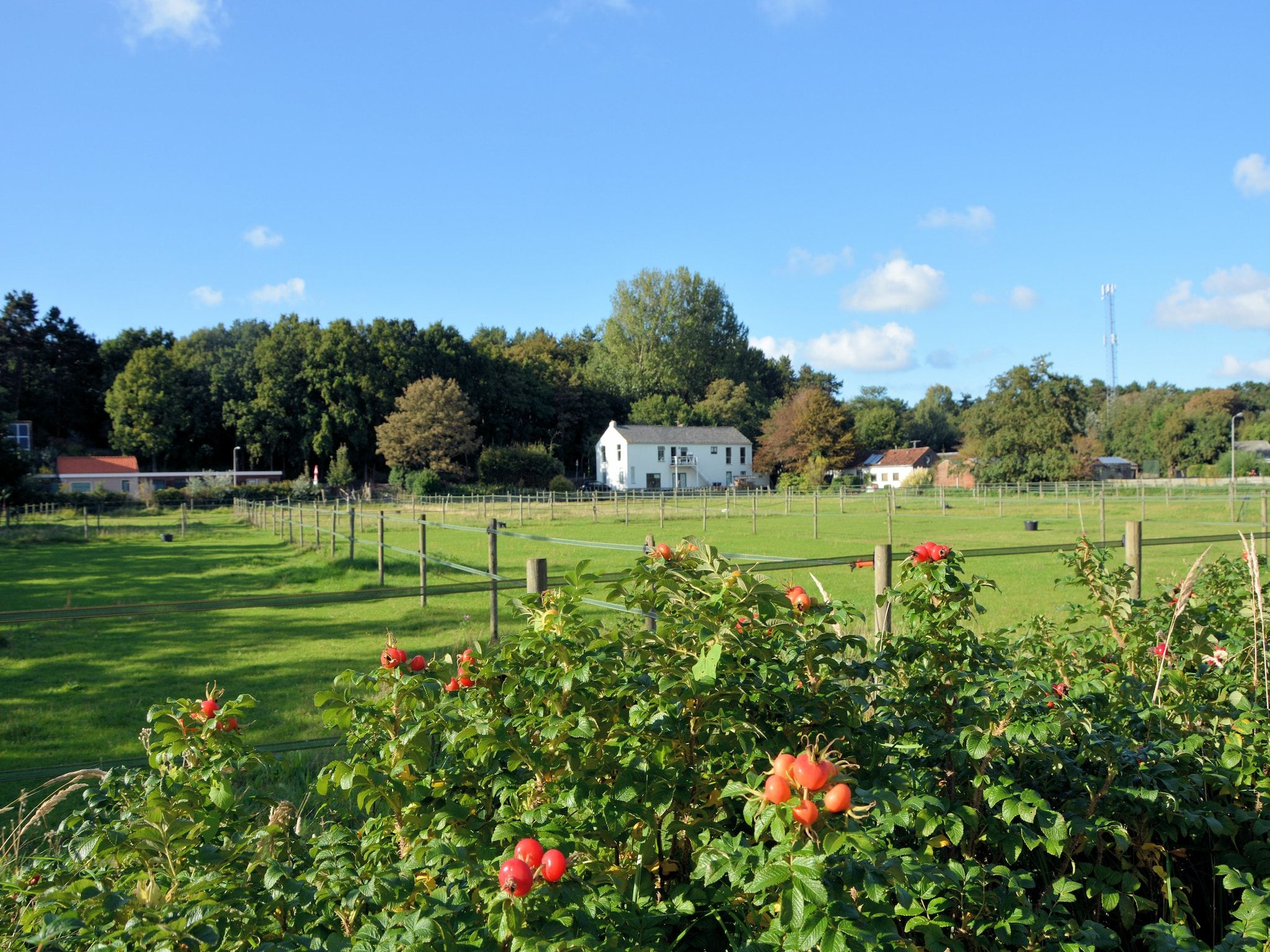 Parkfaciliteiten bij Noordzee in Noordwijk