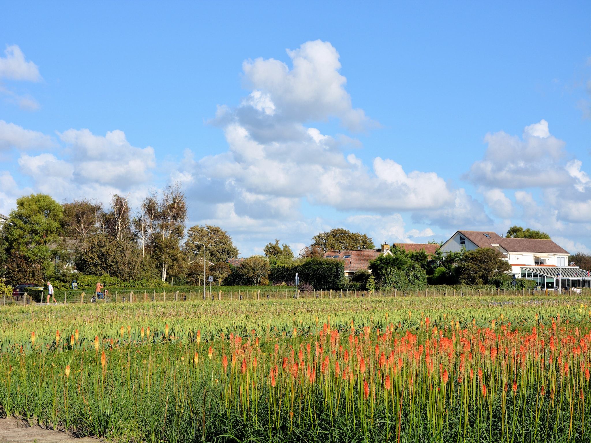Noordzee in Noordwijk - Foto 16 van 39