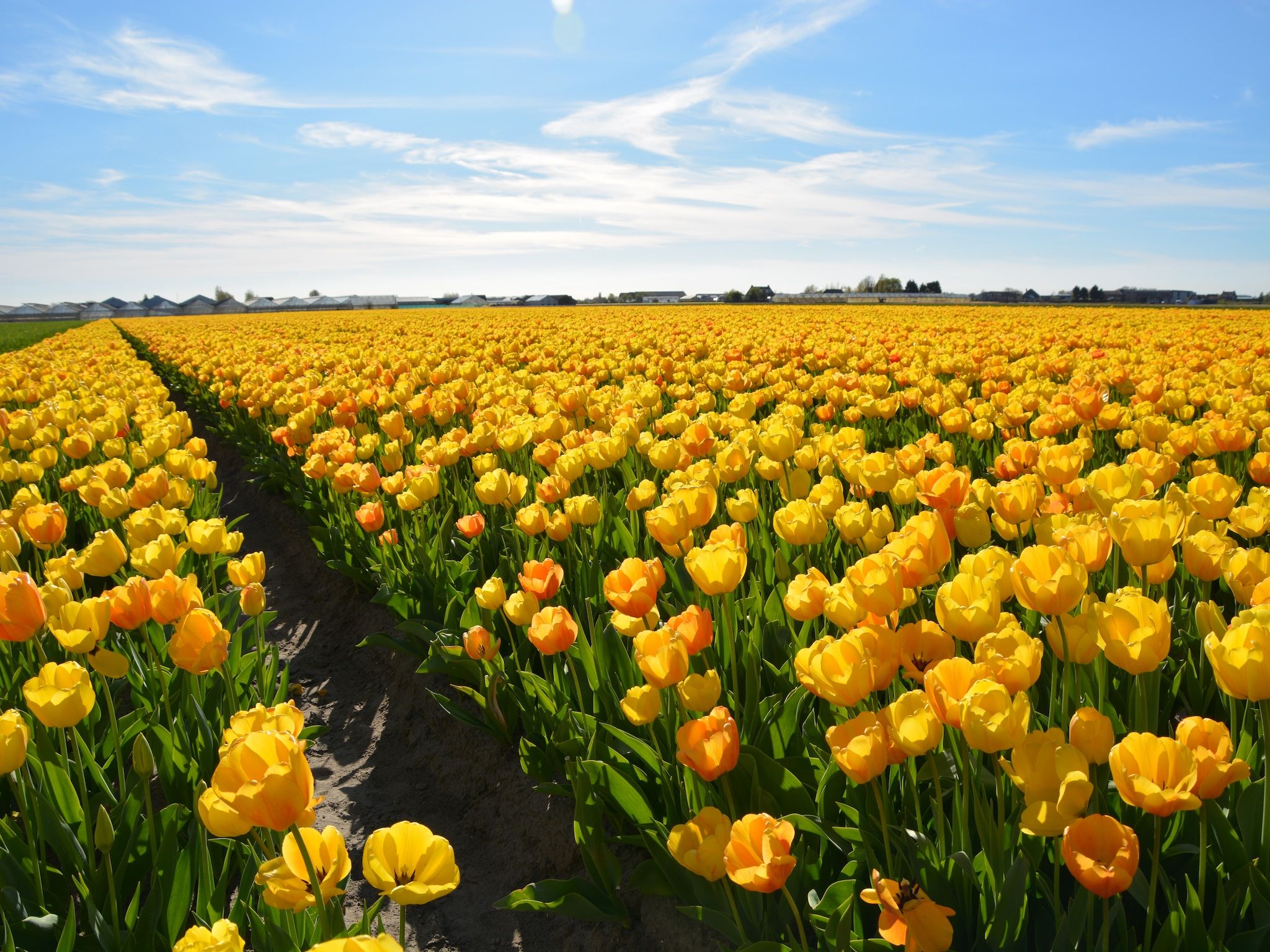 De omgeving van Noordzee in Noordwijk