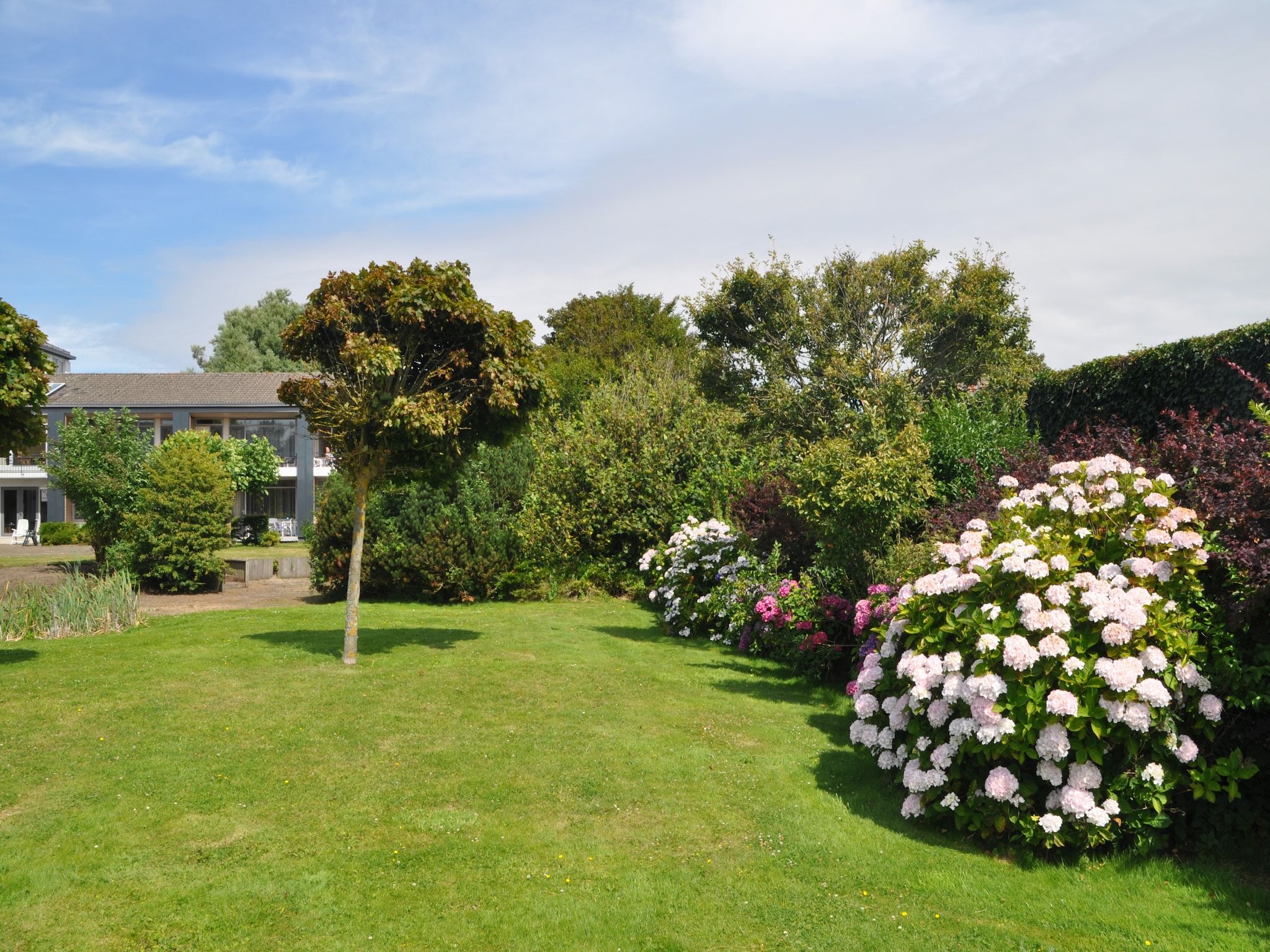 De tuin van Noordzee in Noordwijk