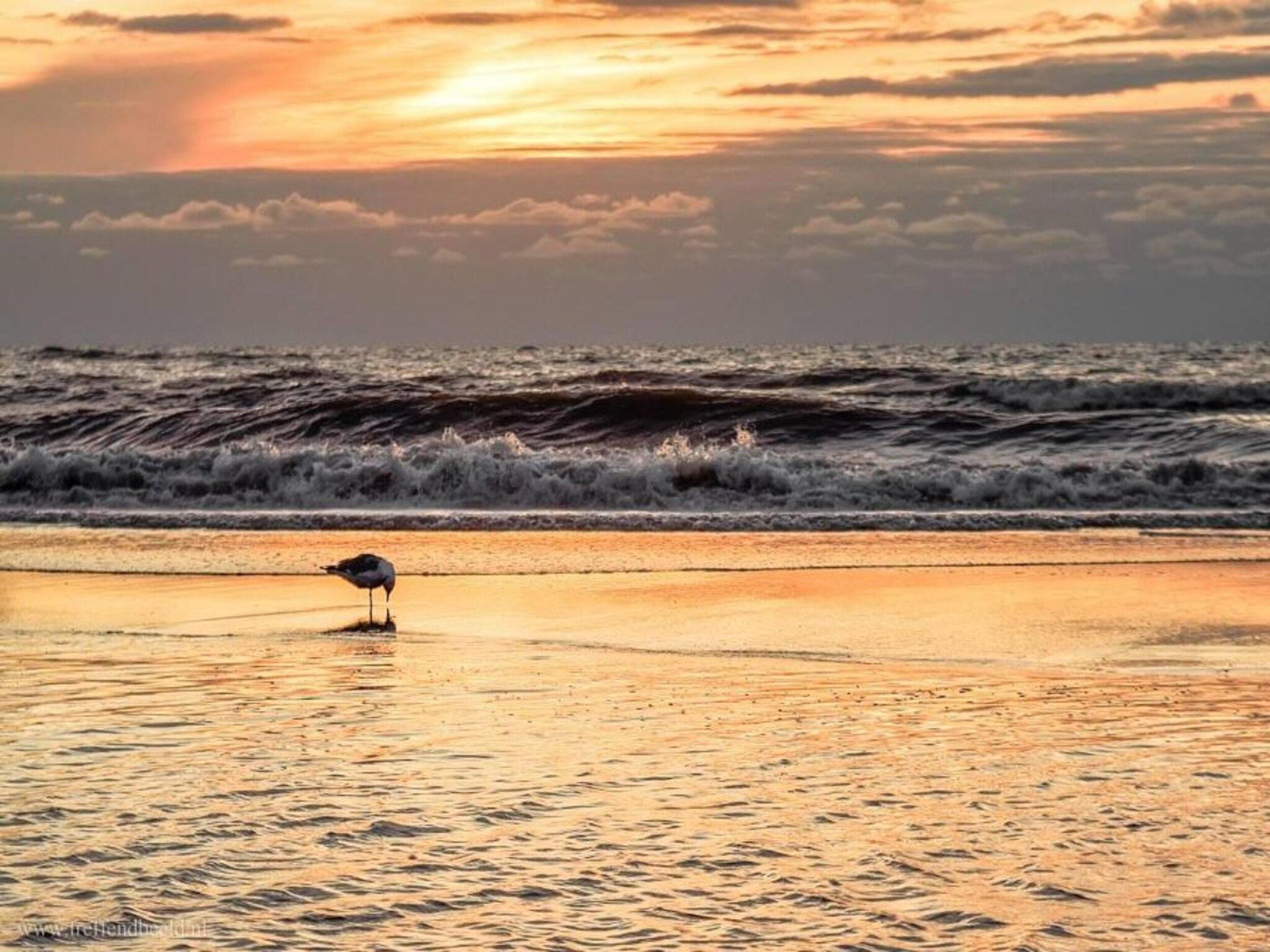 Noordzee in Noordwijk - Foto 35 van 39