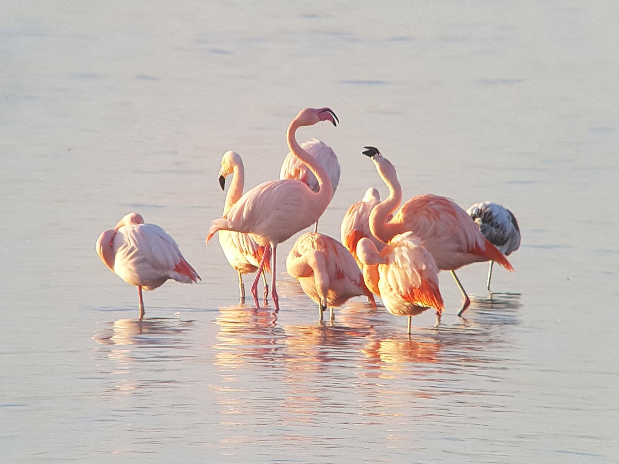 De omgeving van Vakantiepark Zeedijk 2 in Herkingen