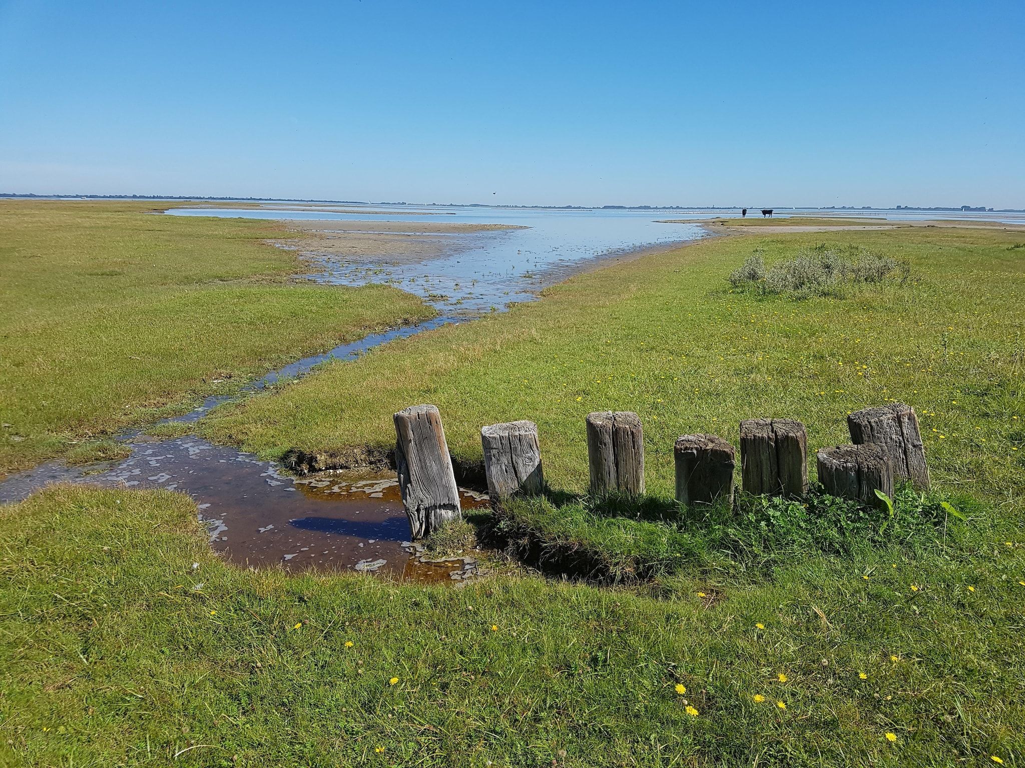 De omgeving van Vakantiepark Zeedijk 2 in Herkingen