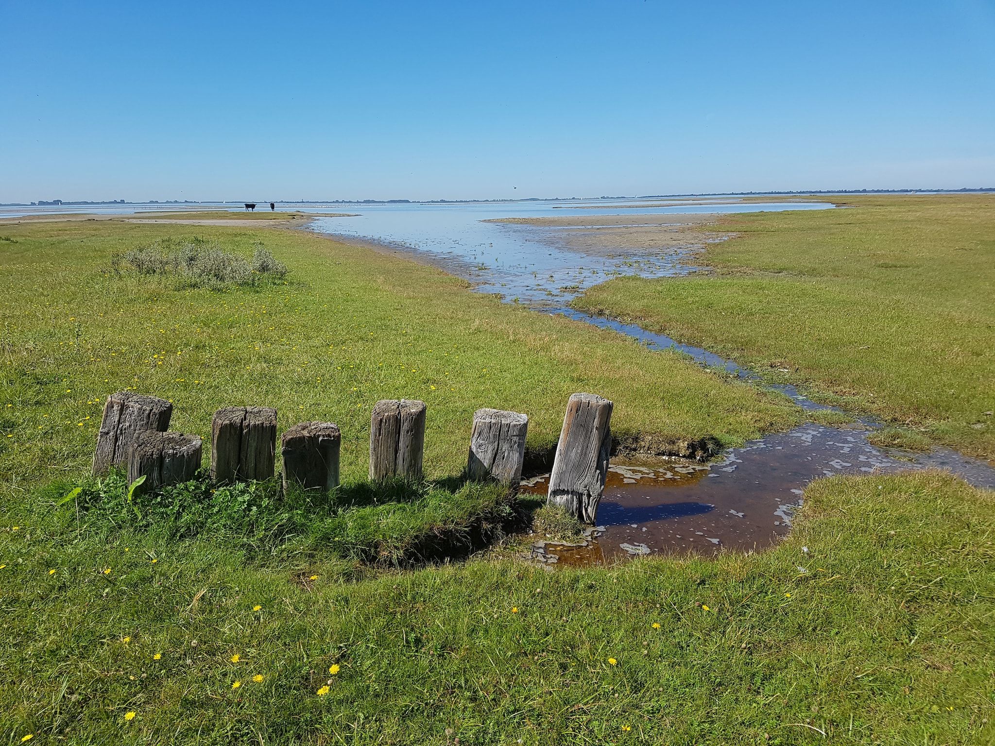 Vakantiepark Zeedijk 3 in Herkingen - Foto 16 van 25