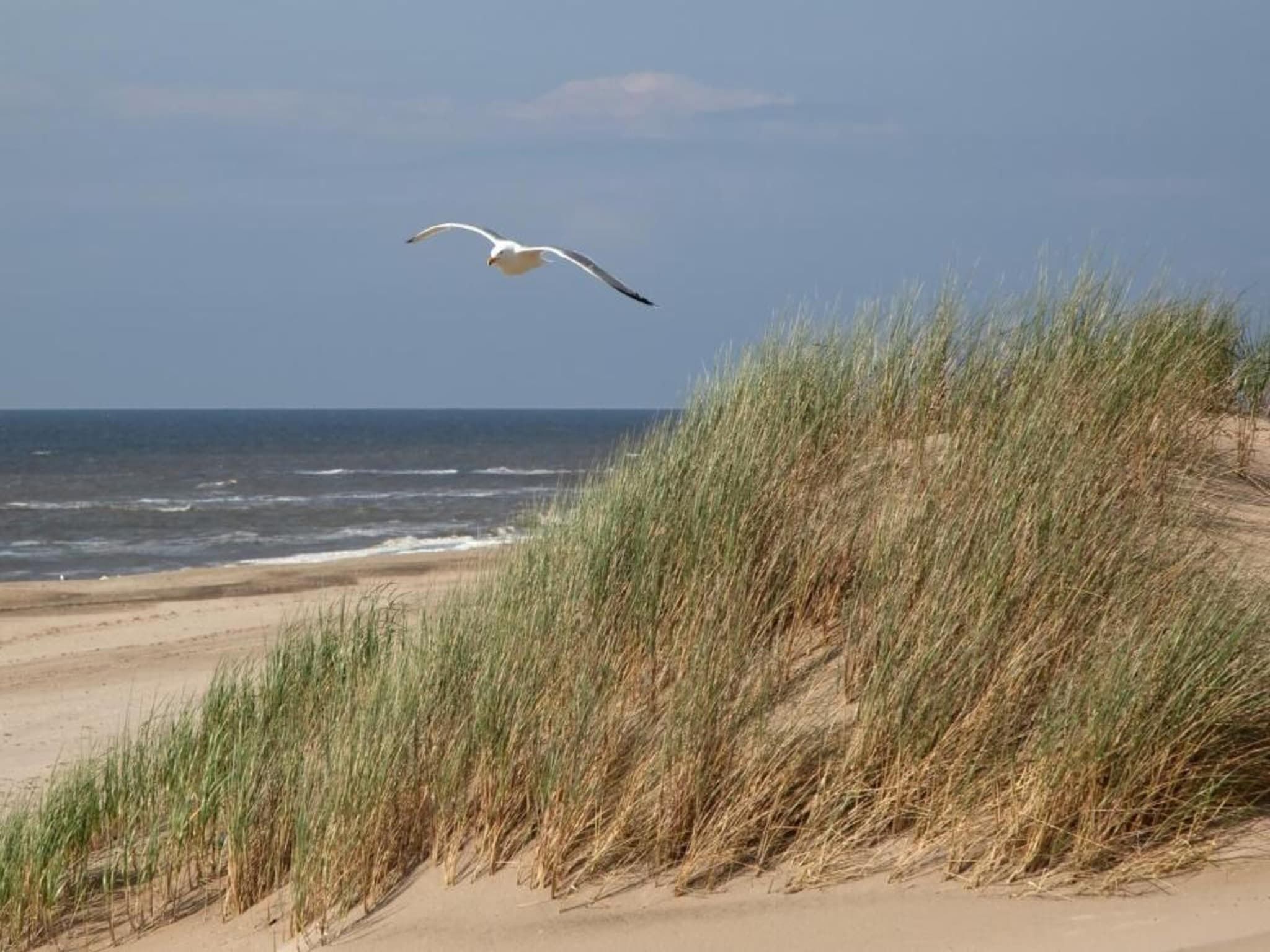 Walhalla aan Zee in Noordwijk - Foto 26 van 40