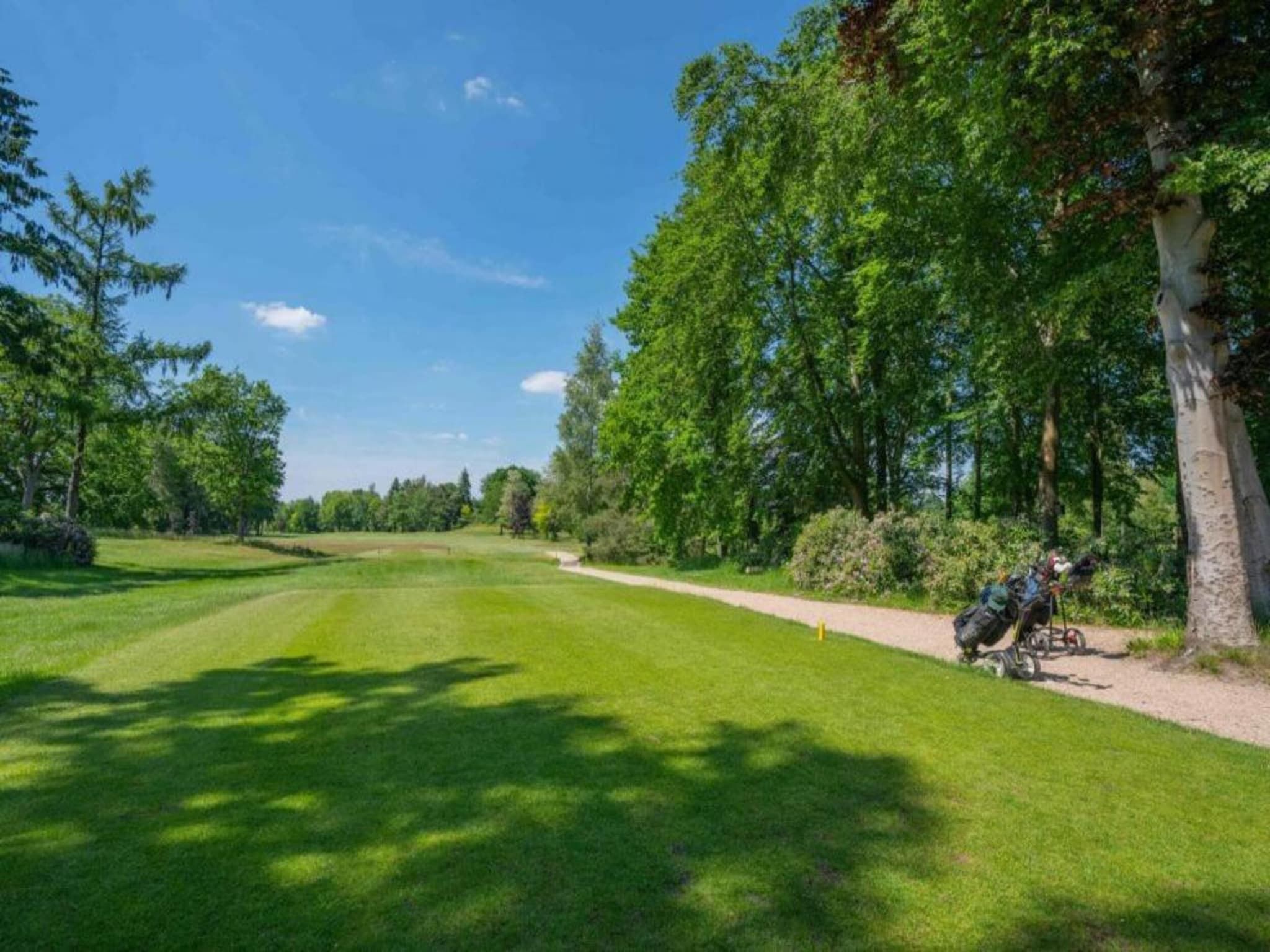 Vakantiepark Weerterbergen 8 in Weert - Foto 31 van 40