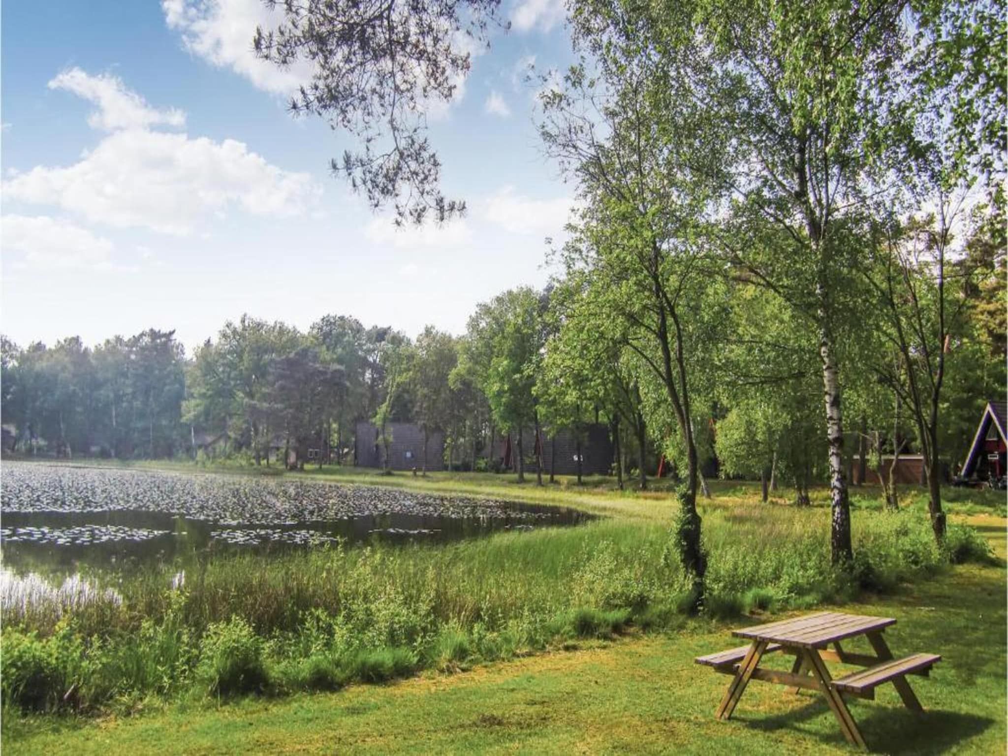 Vakantiepark Weerterbergen 10 in Weert - Foto 29 van 40