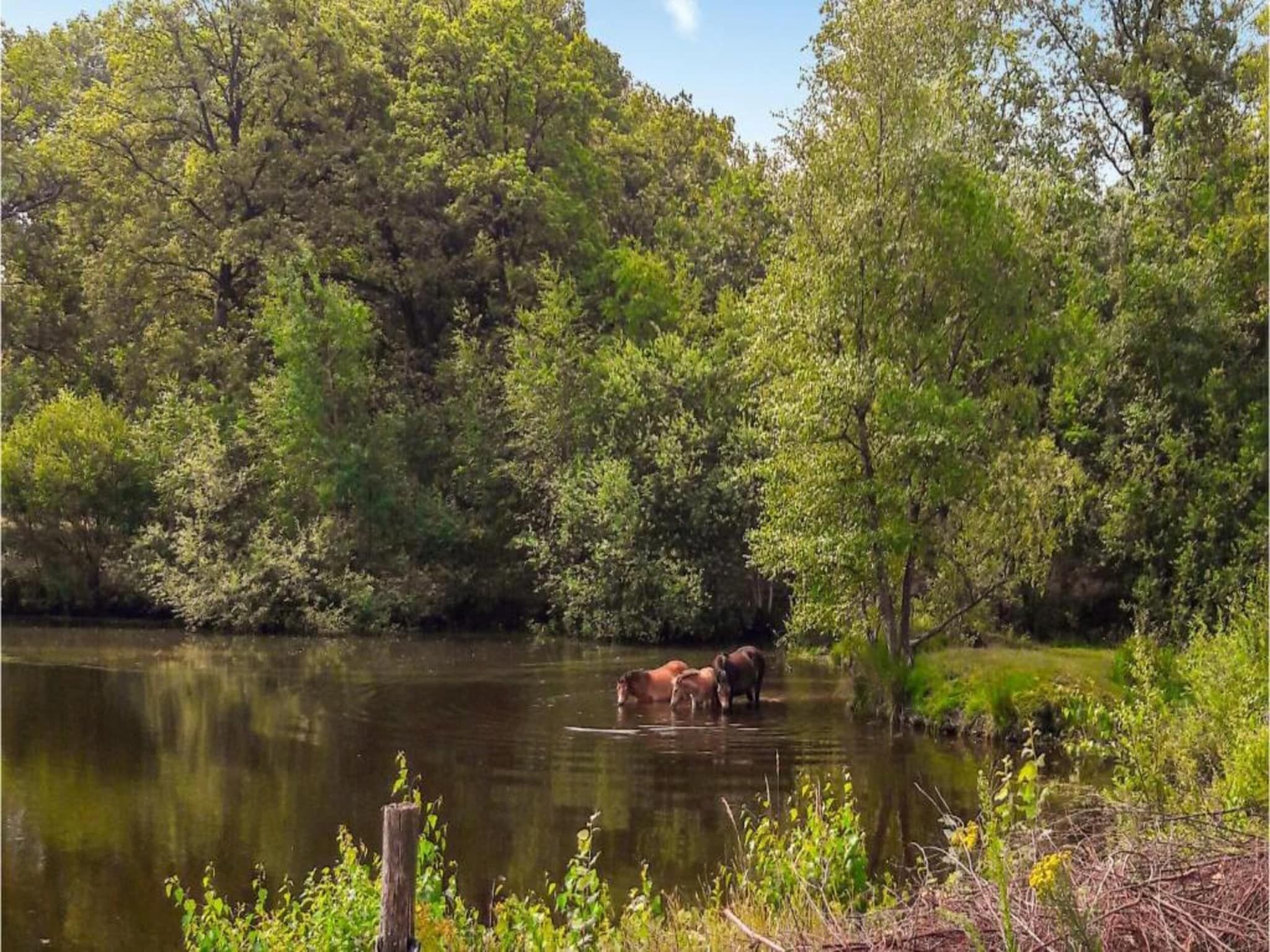 Vakantiepark Weerterbergen 11 in Weert - Foto 31 van 40