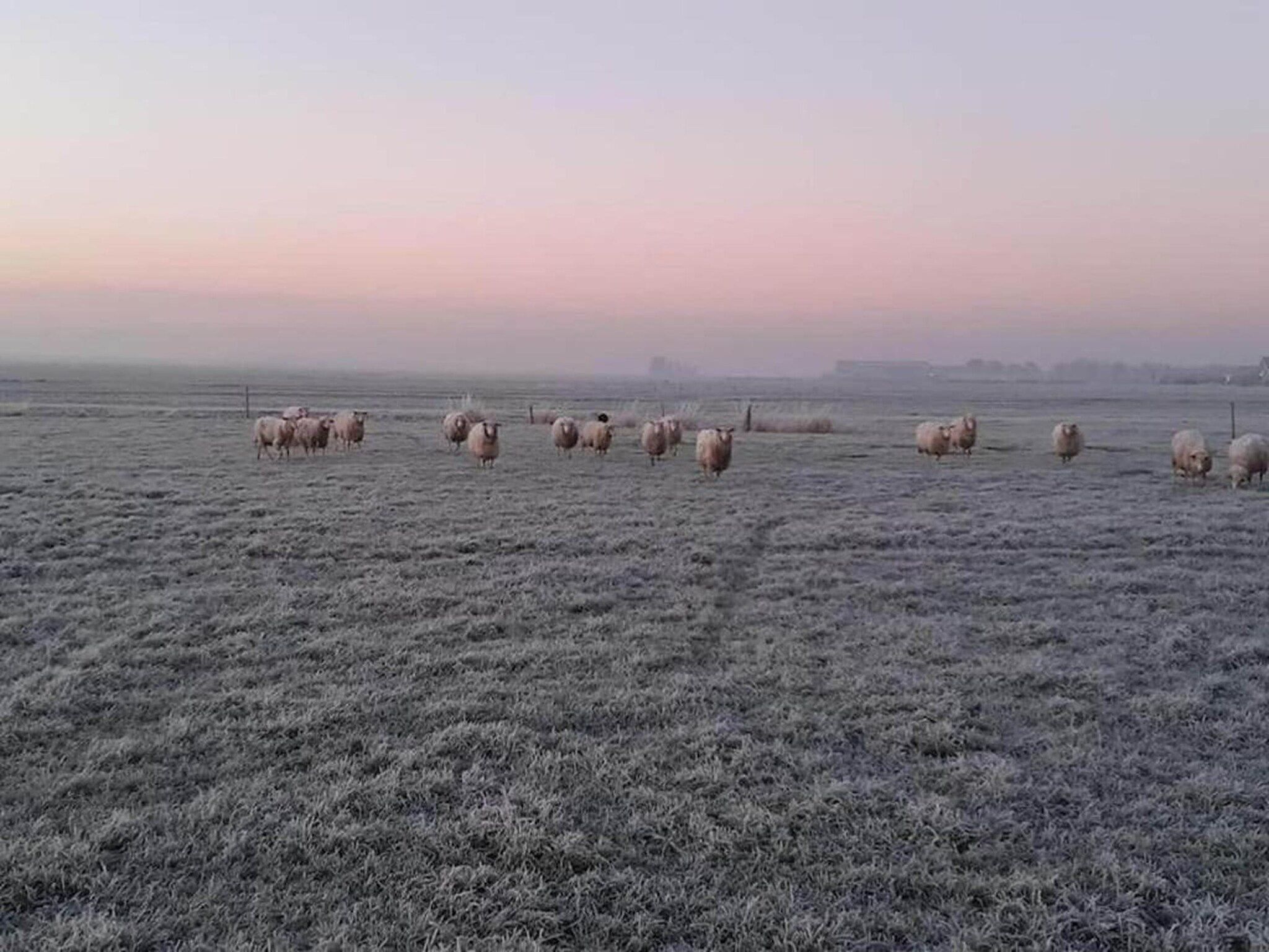 Waterpark Terkaple 1 in Terkaple - Foto 38 van 45