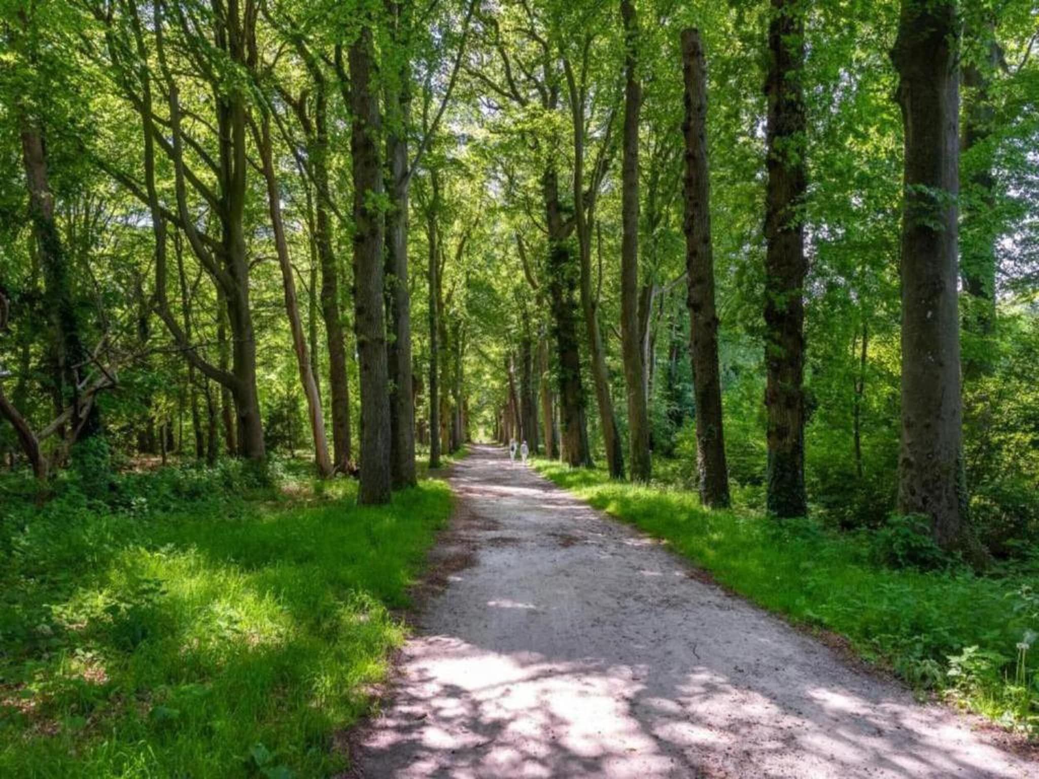 Waterpark Terkaple 1 in Terkaple - Foto 19 van 45