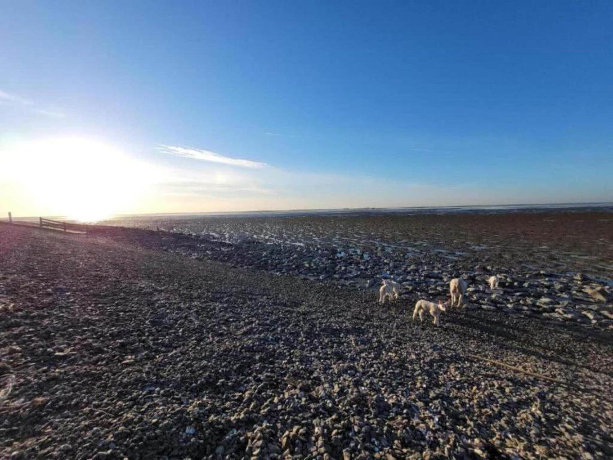 Waterpark Terkaple 1 in Terkaple - Foto 21 van 45